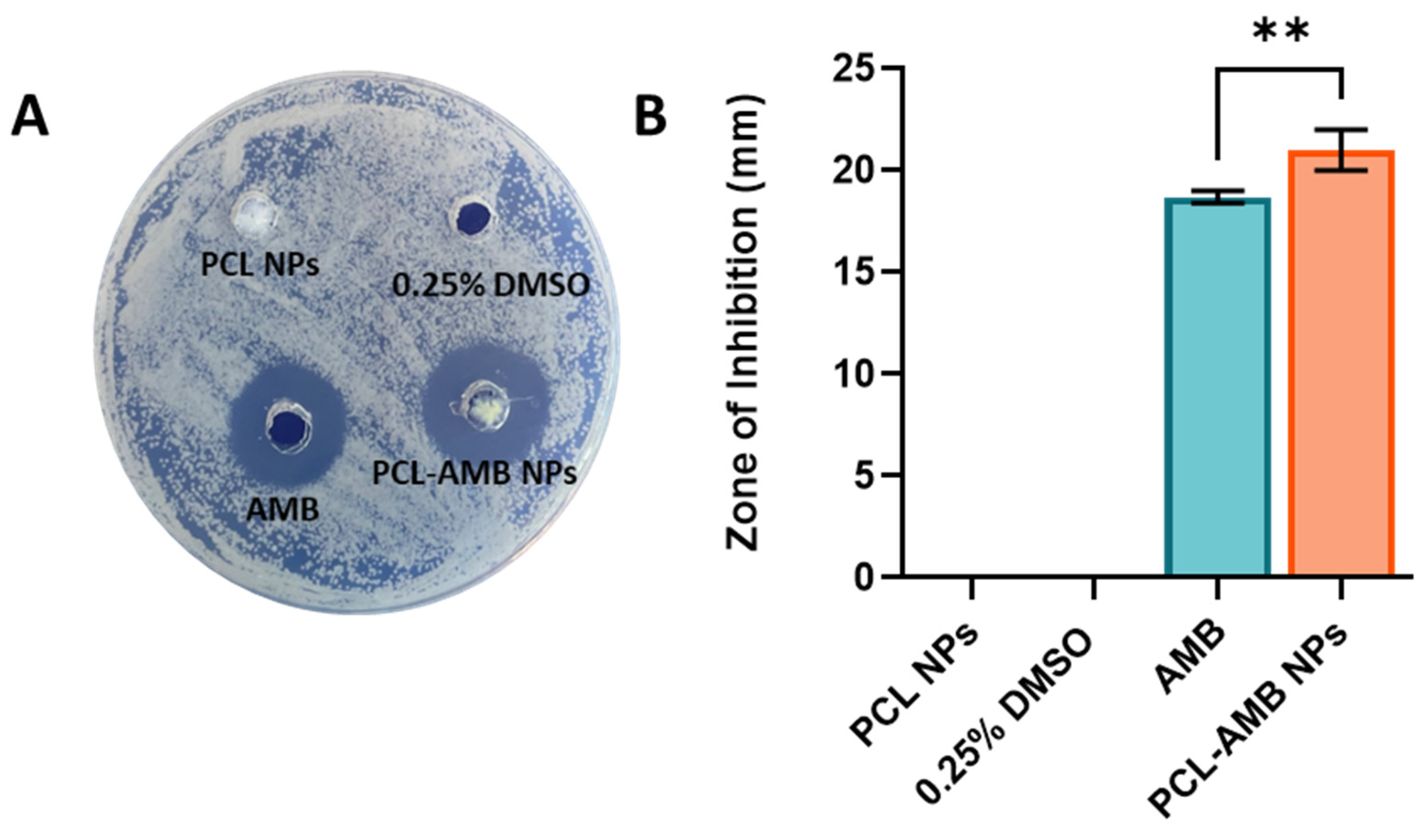 Nanomaterials 13 00155 g005