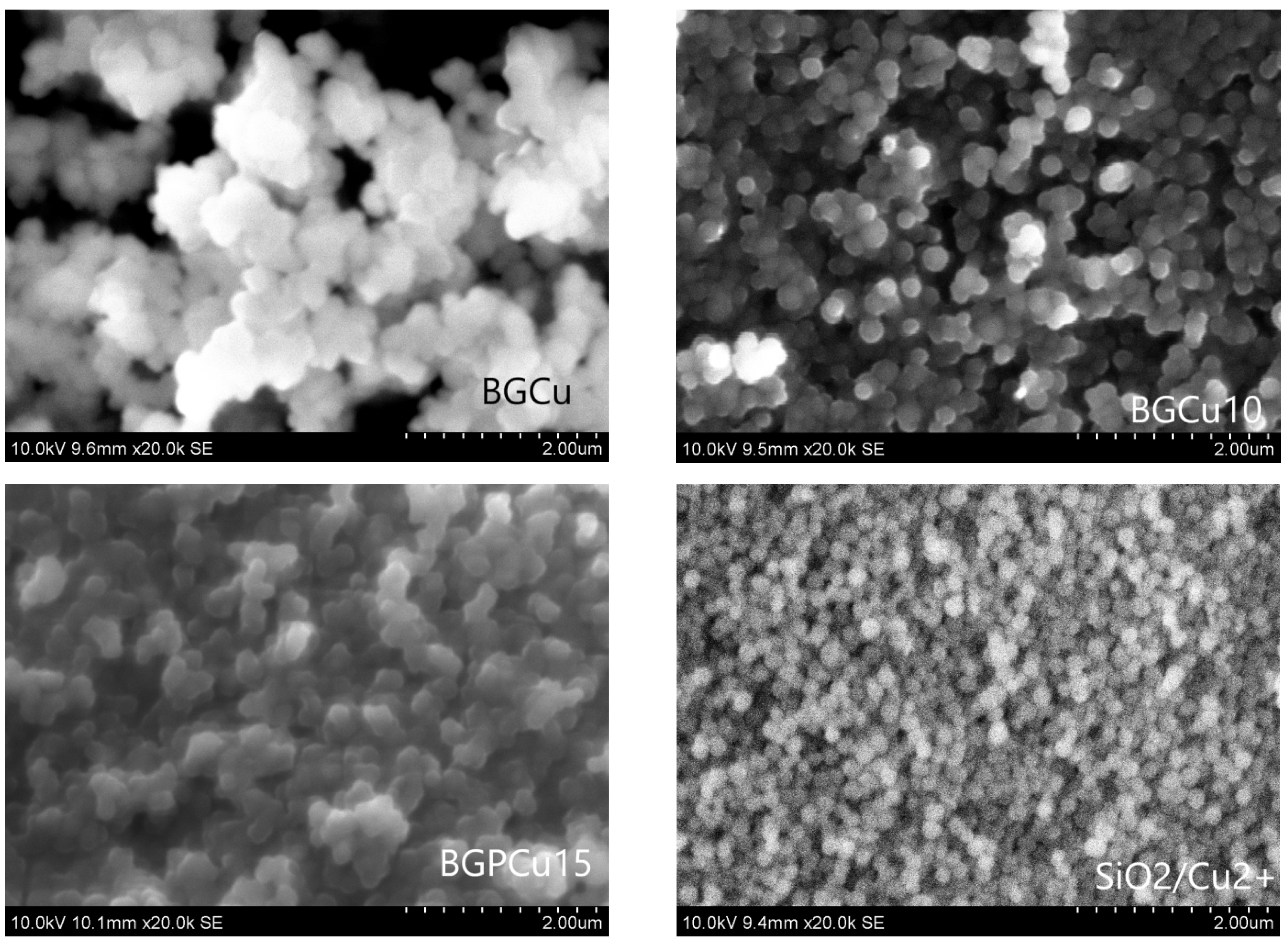 Nanomaterials 13 00165 g001