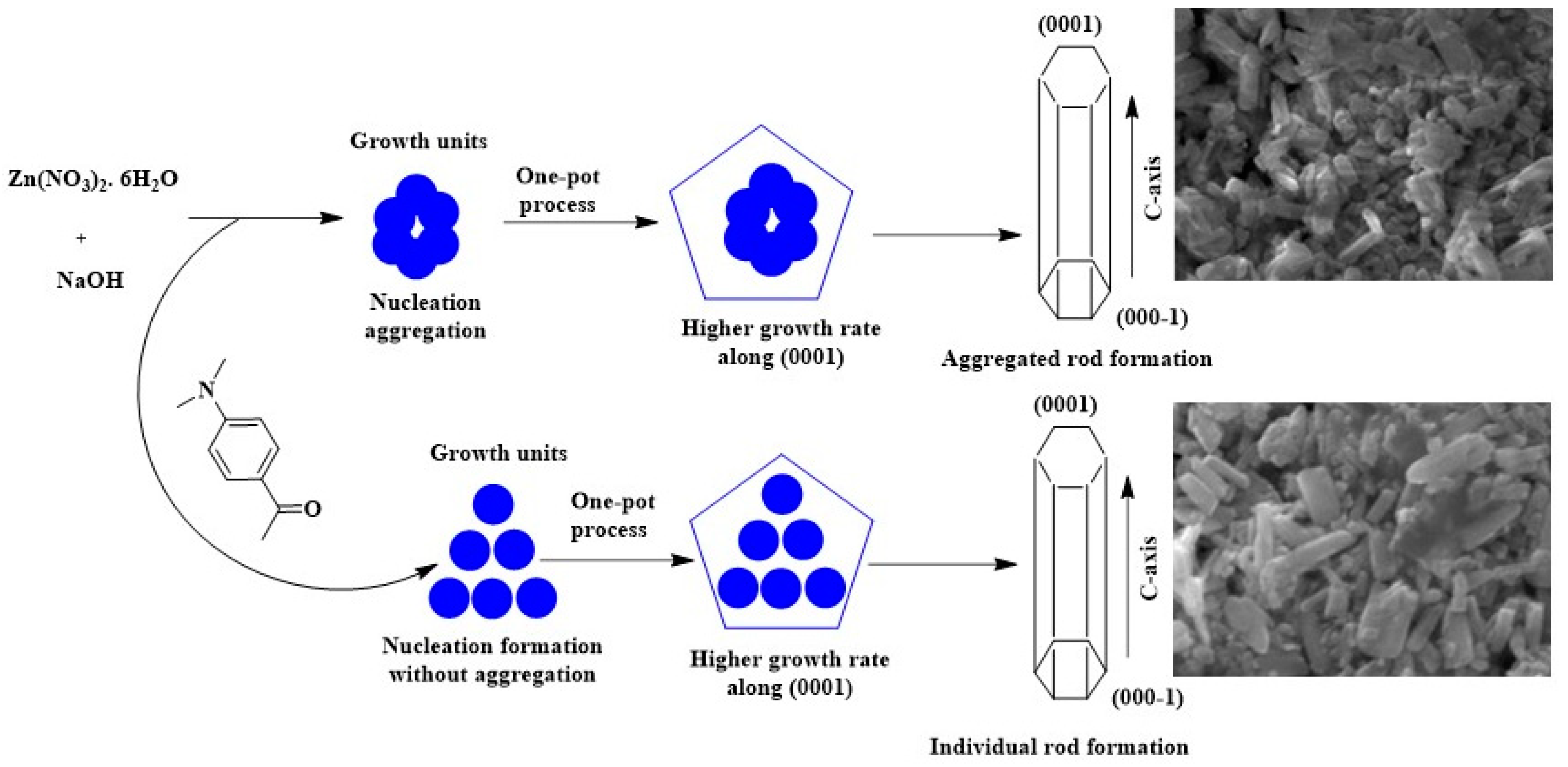 Nanomaterials 13 00166 g001