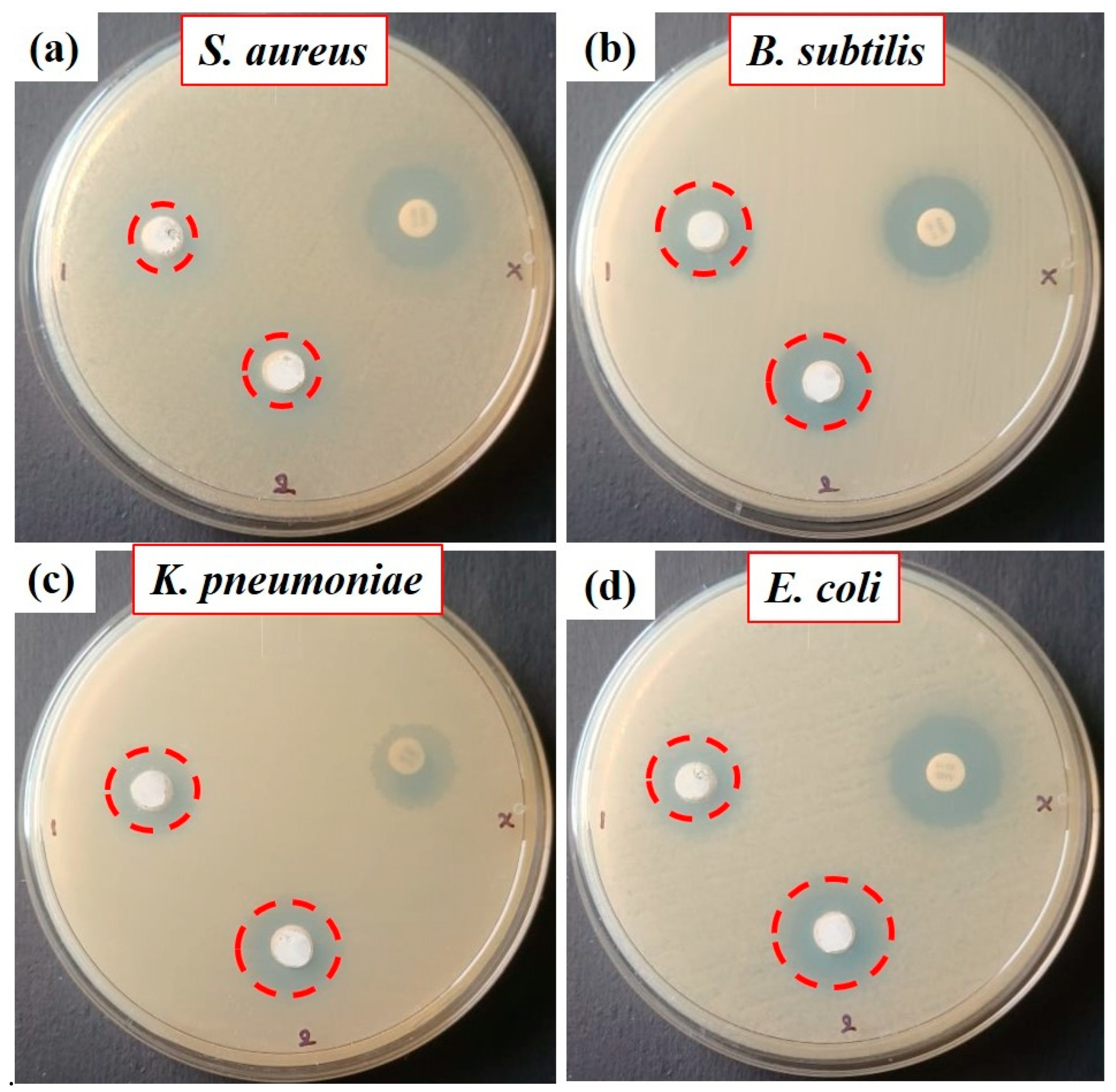 Nanomaterials 13 00166 g010