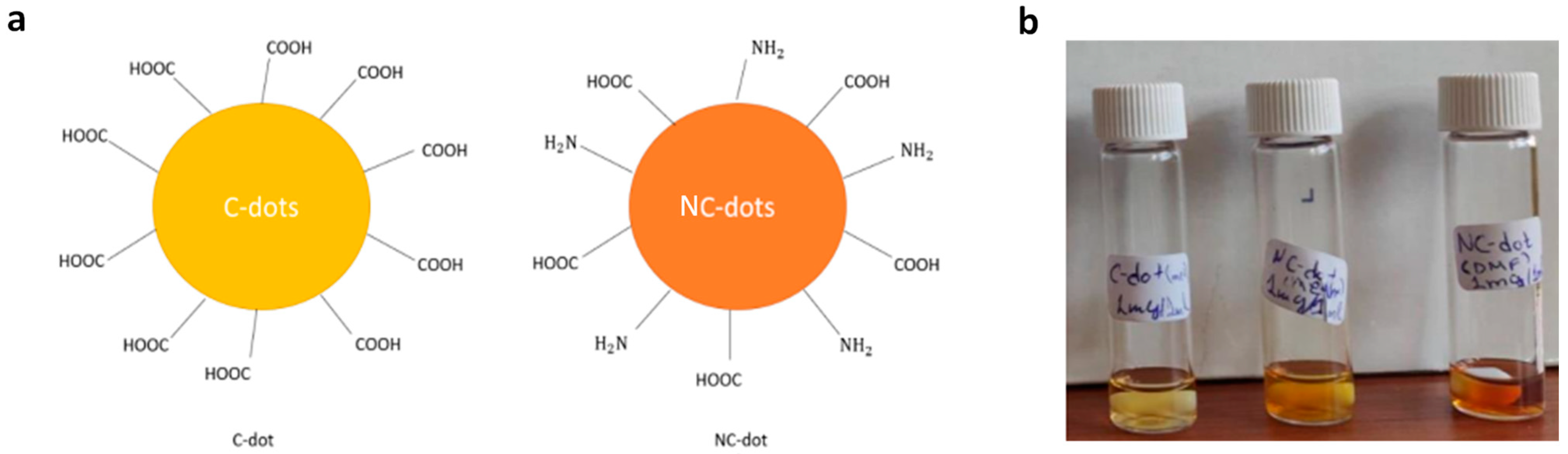 Nanomaterials 13 00169 g001