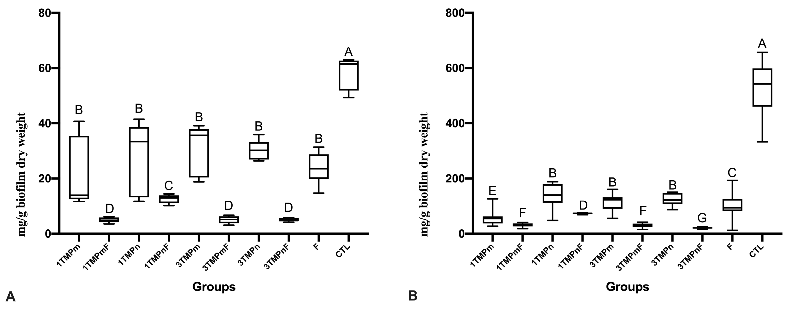 Nanomaterials 13 00170 g001