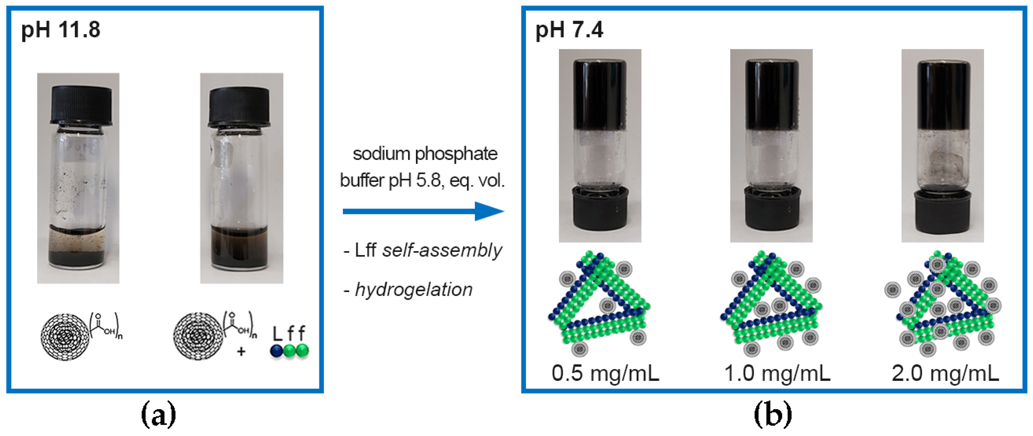 Nanomaterials 13 00172 g004