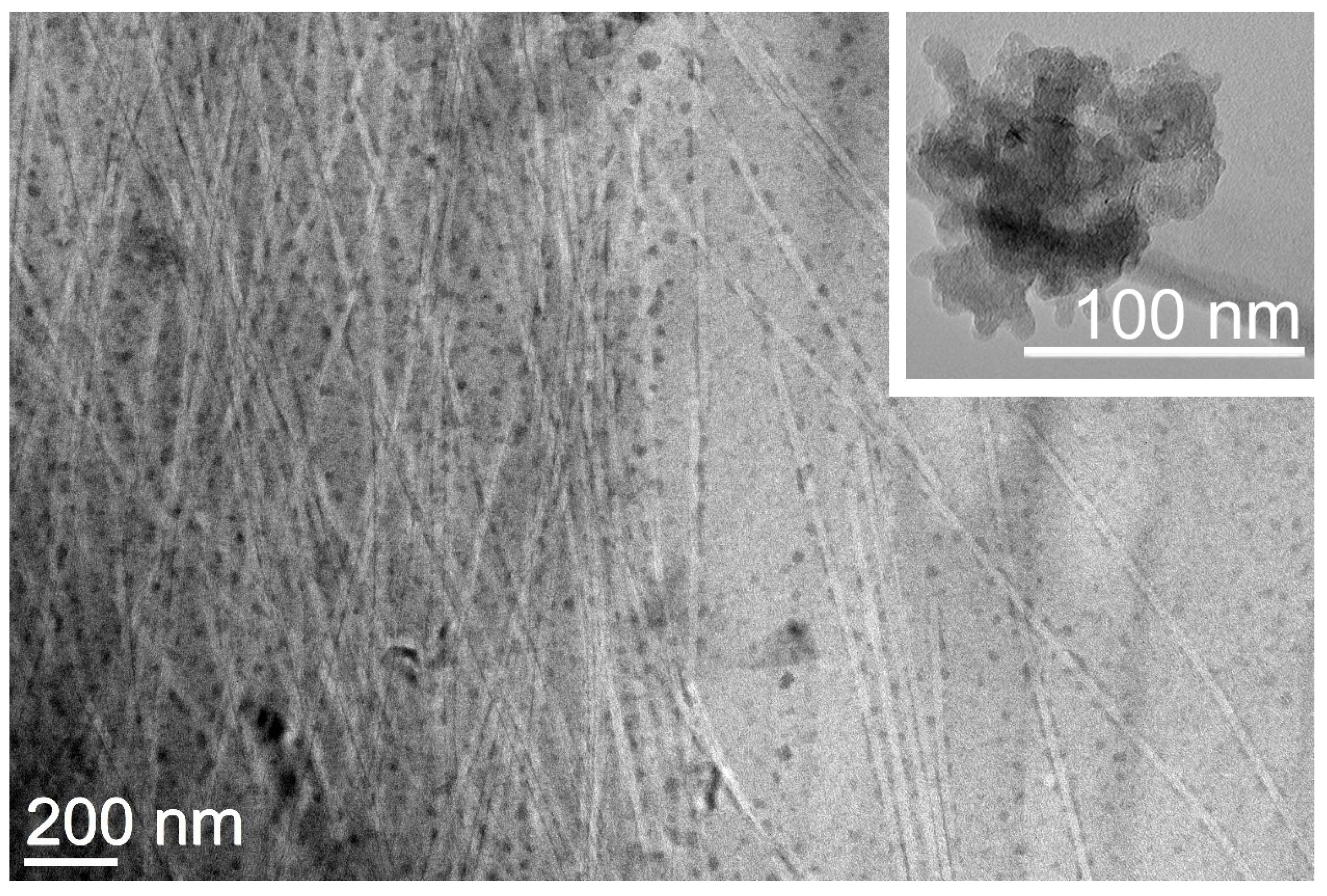 Nanomaterials 13 00172 g005