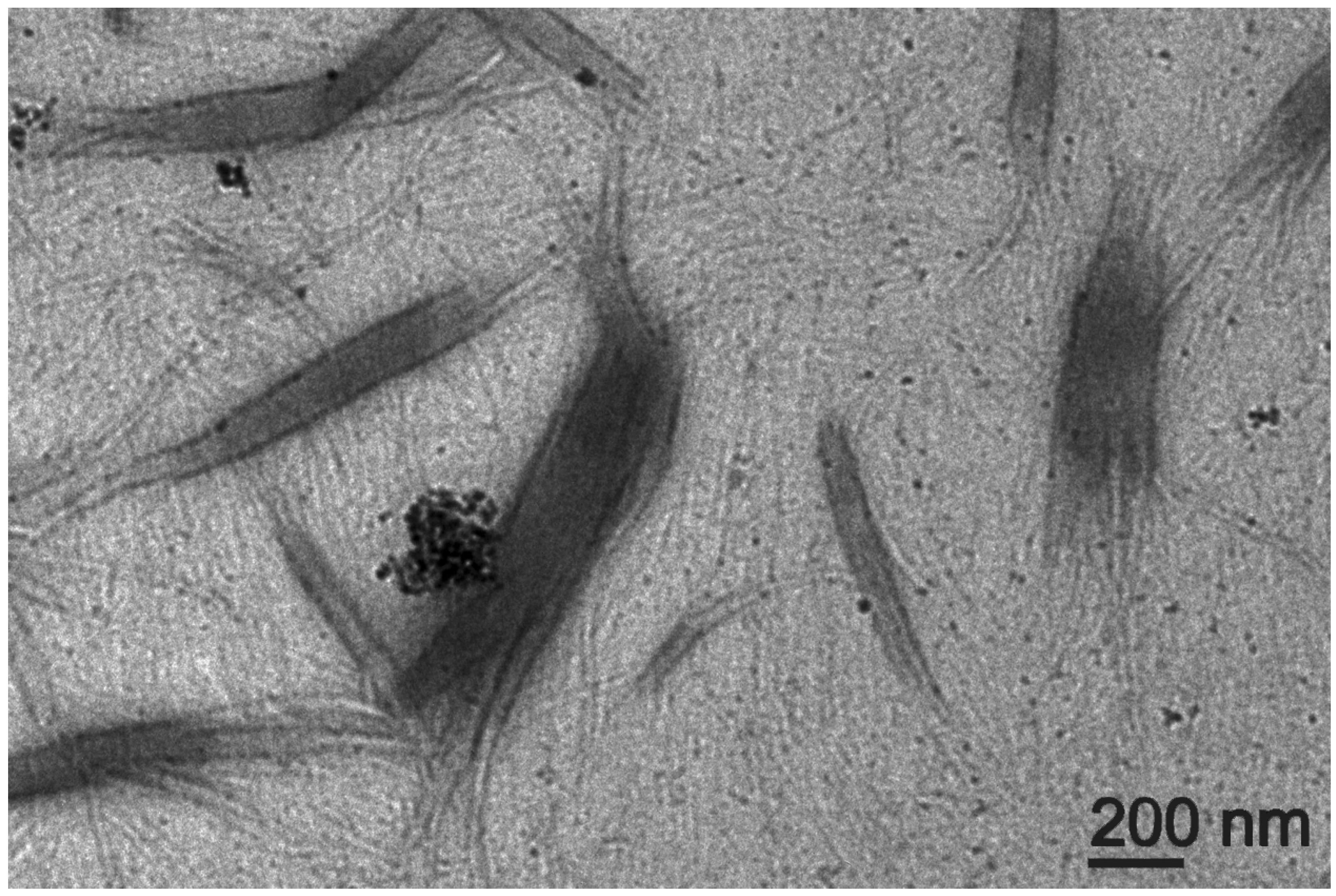 Nanomaterials 13 00172 g010