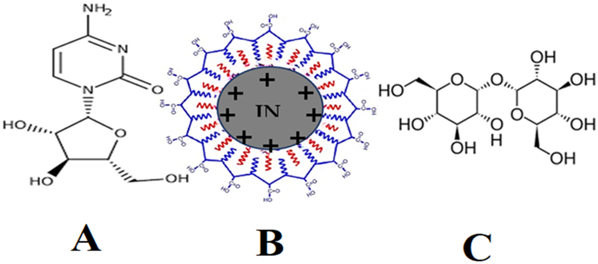 Nanomaterials 13 00175 g001