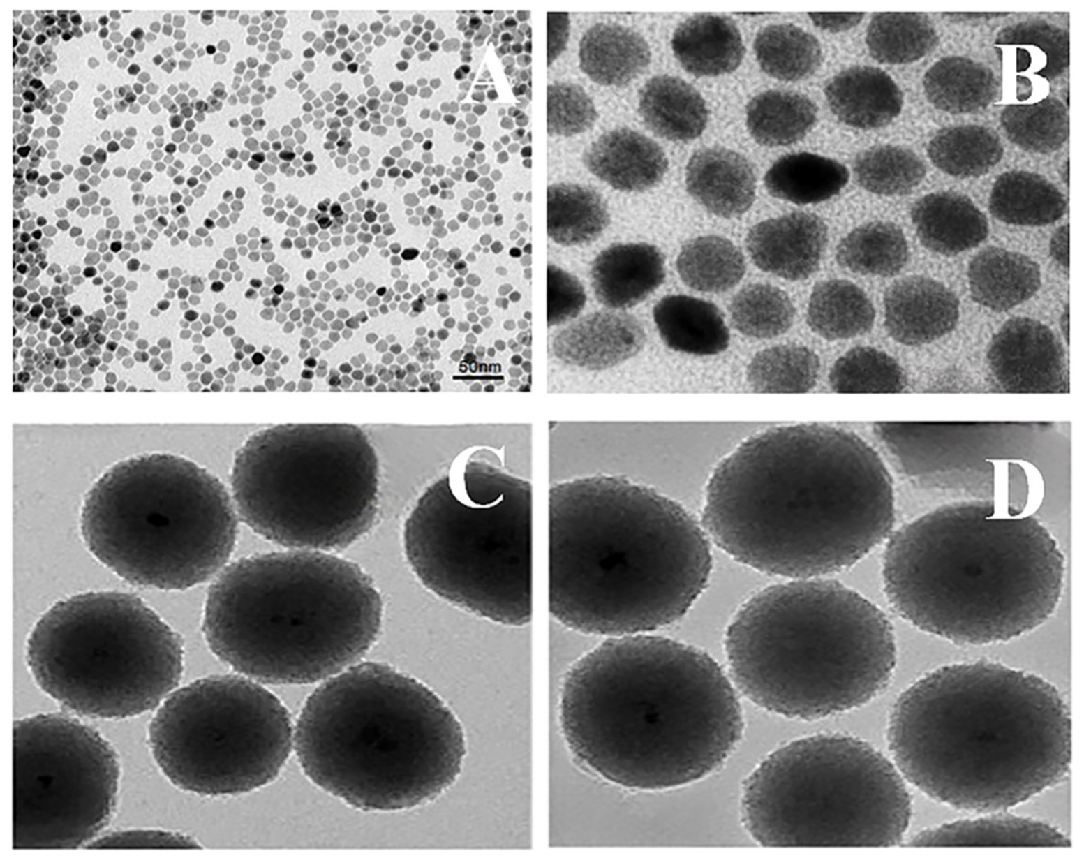 Nanomaterials 13 00175 g006