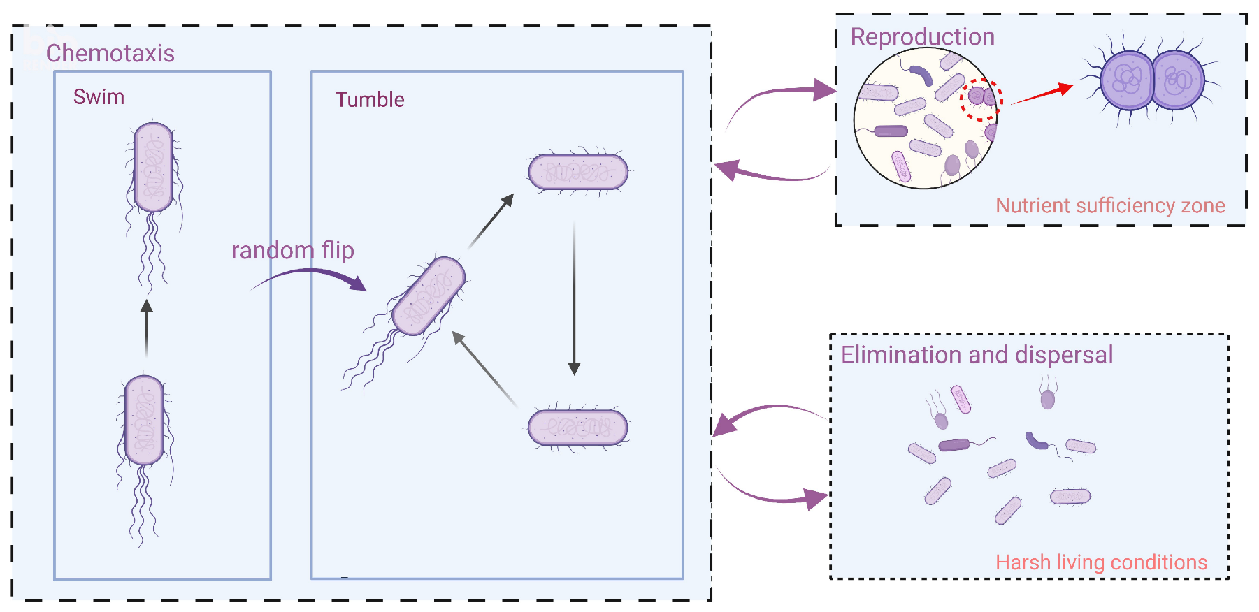 Nanomaterials 13 00191 g004 Nanomaterials 13 00191 g004