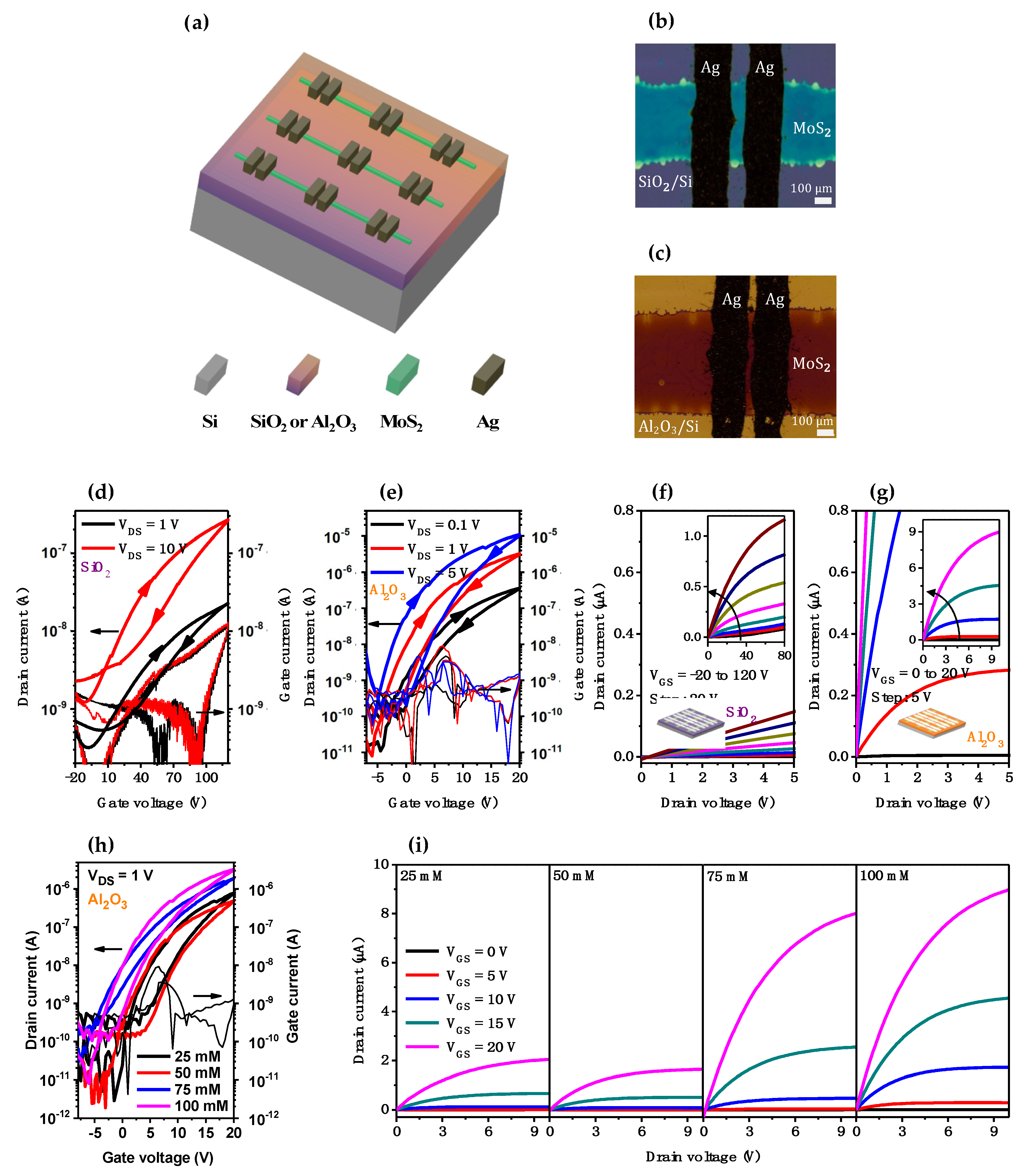 Nanomaterials 13 00194 g006