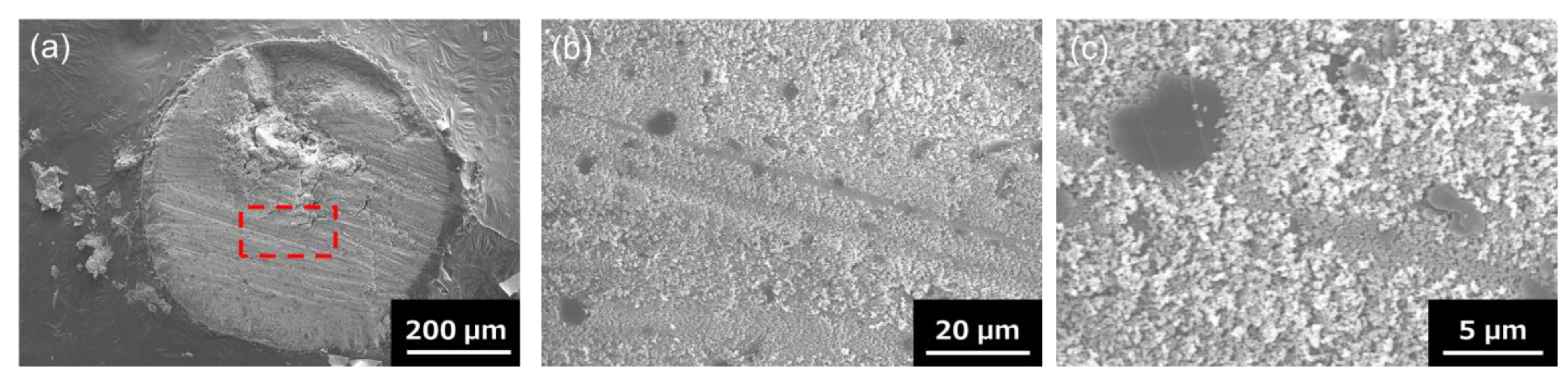 Nanomaterials 13 00199 g003 Nanomaterials 13 00199 g003
