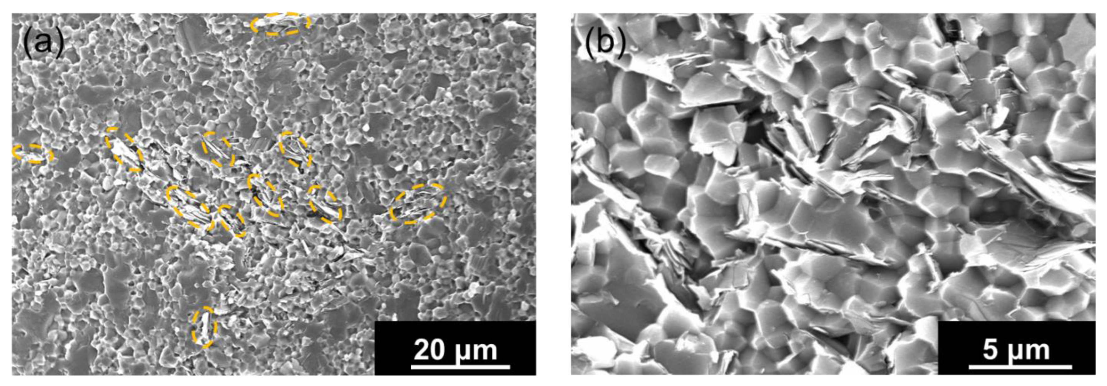 Nanomaterials 13 00199 g005 Nanomaterials 13 00199 g005