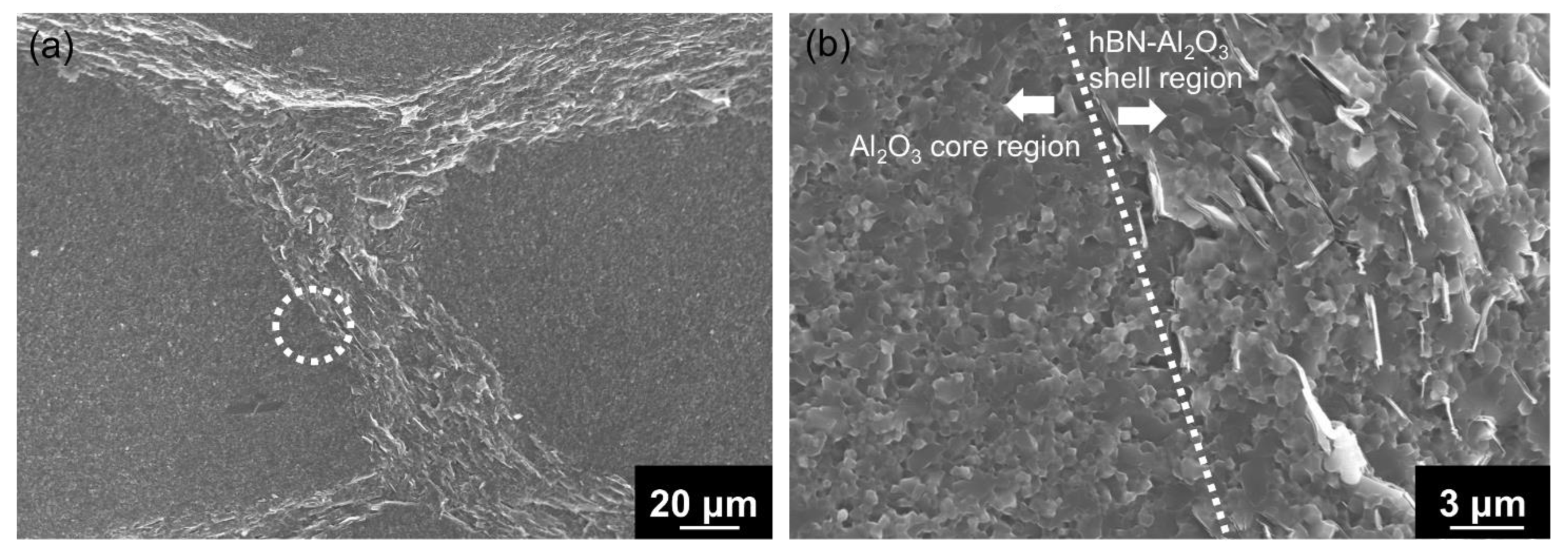 Nanomaterials 13 00199 g007 Nanomaterials 13 00199 g007