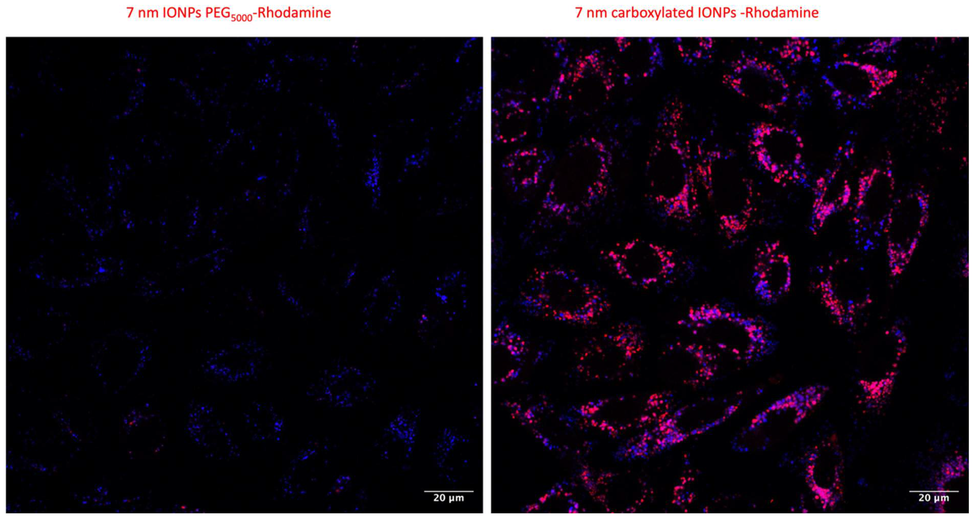 Nanomaterials 13 00201 g003 Nanomaterials 13 00201 g003