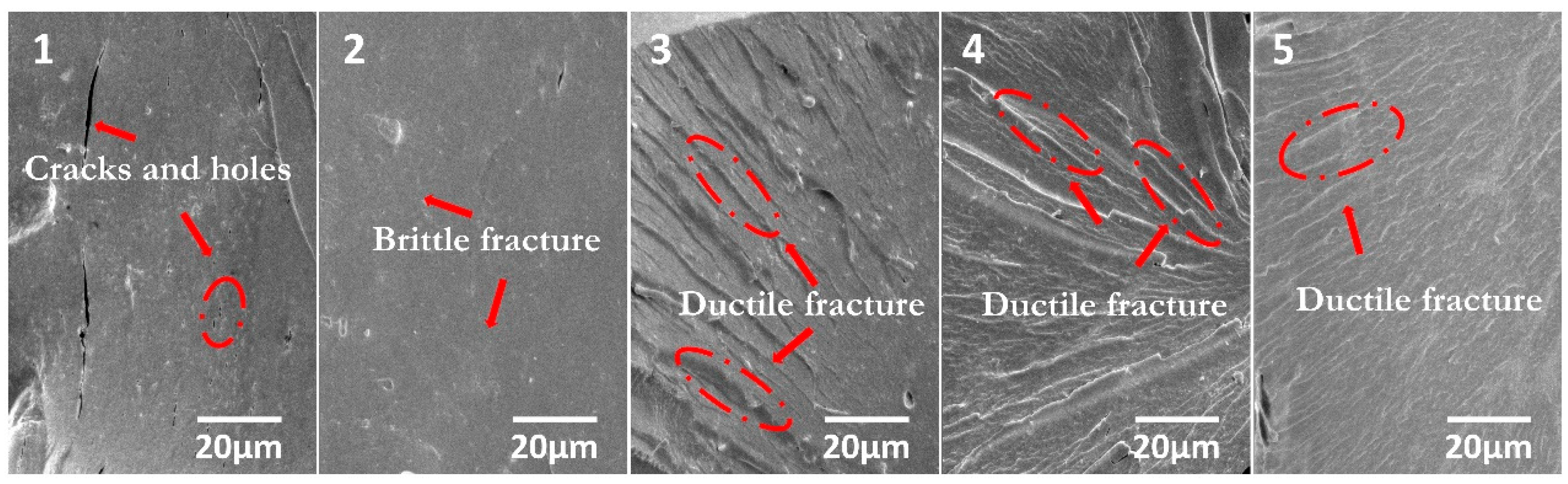 Nanomaterials 13 00203 g007