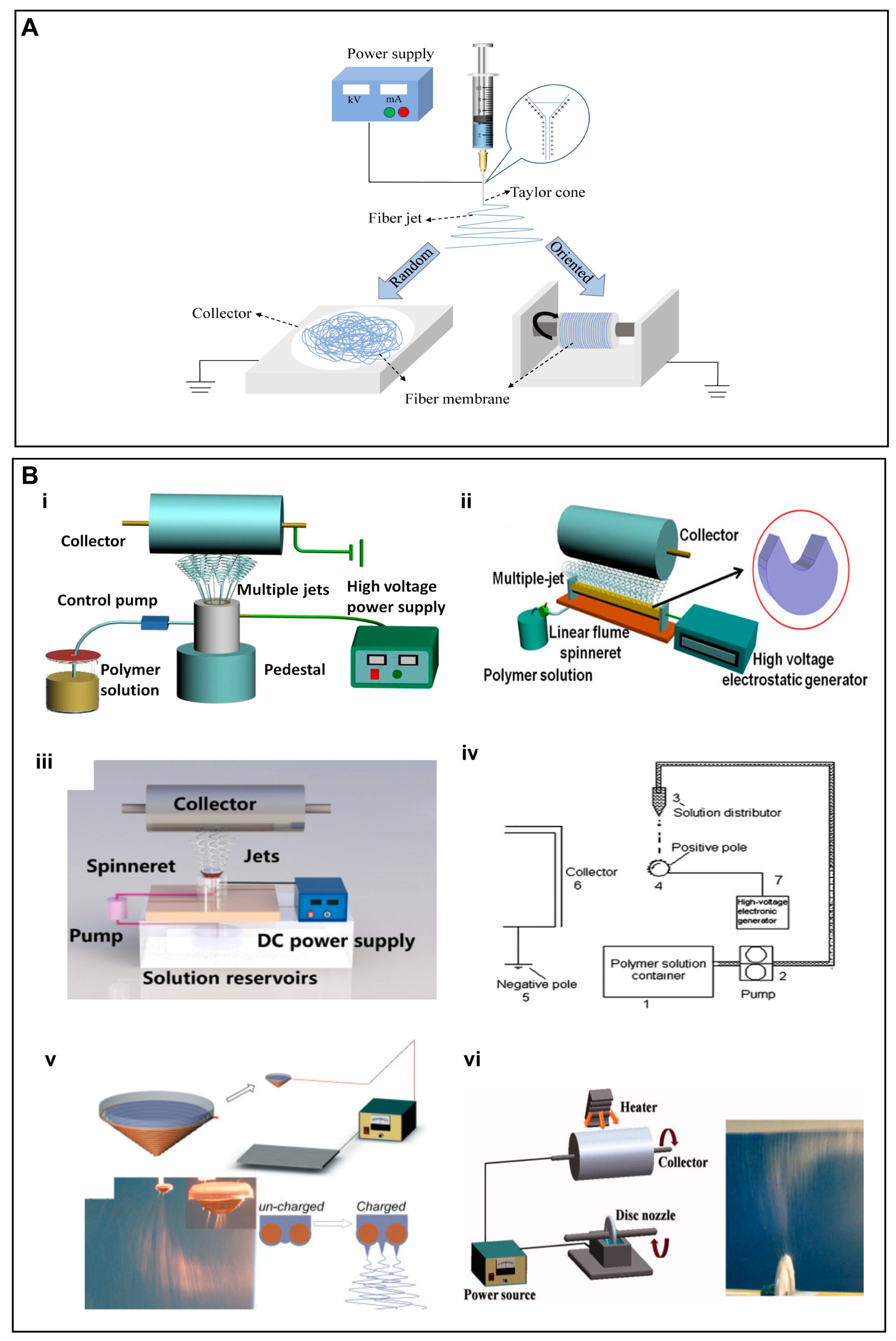 Nanomaterials 13 00204 g001