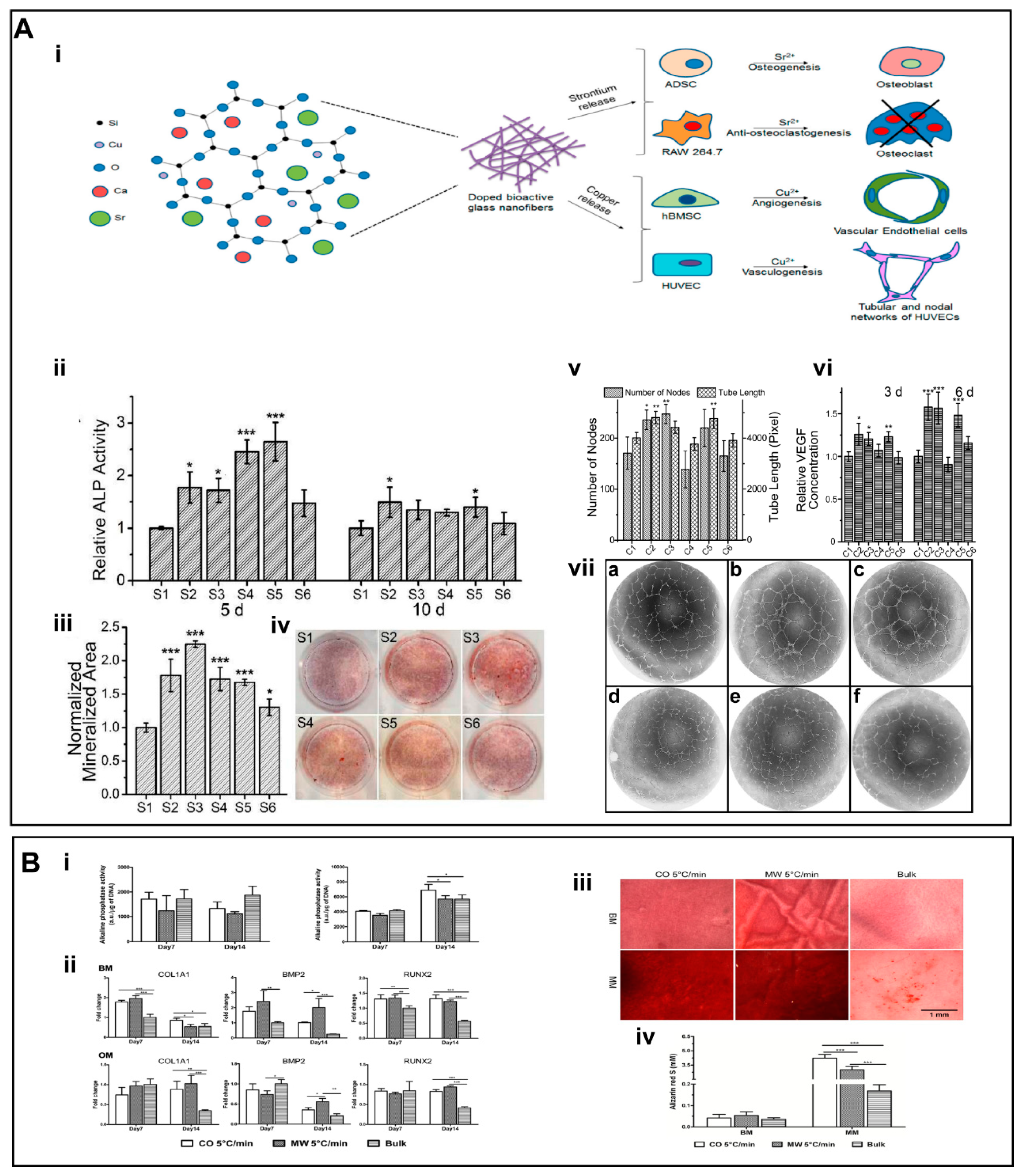 Nanomaterials 13 00204 g002