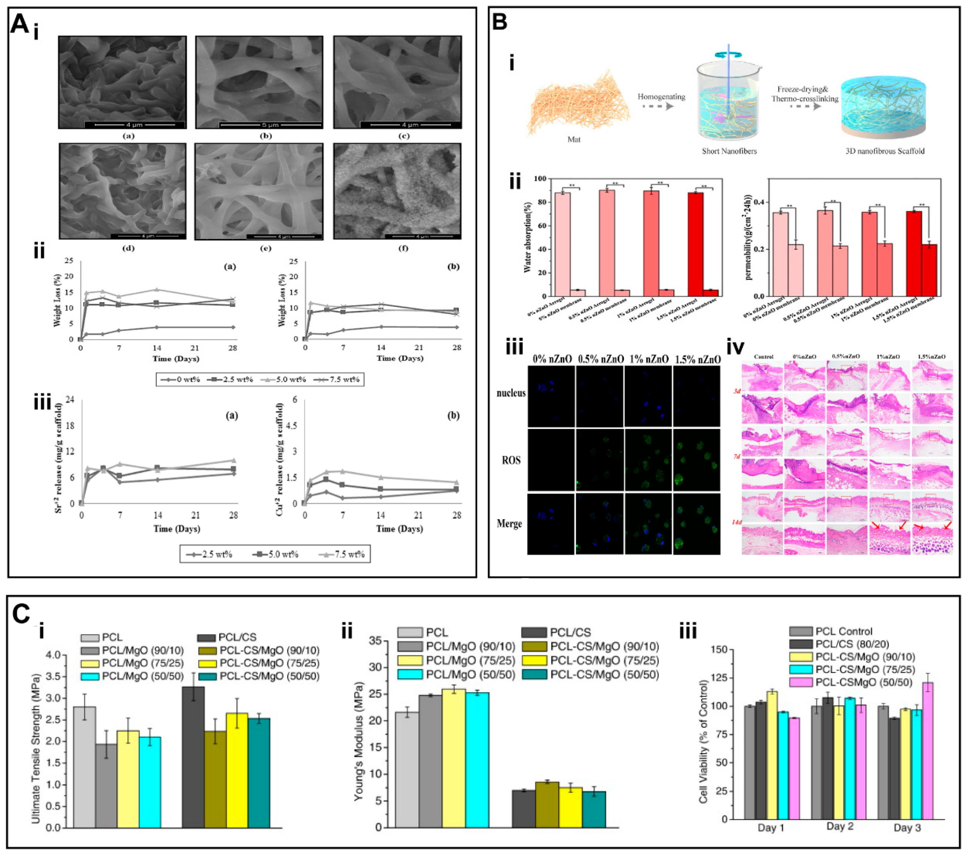 Nanomaterials 13 00204 g005
