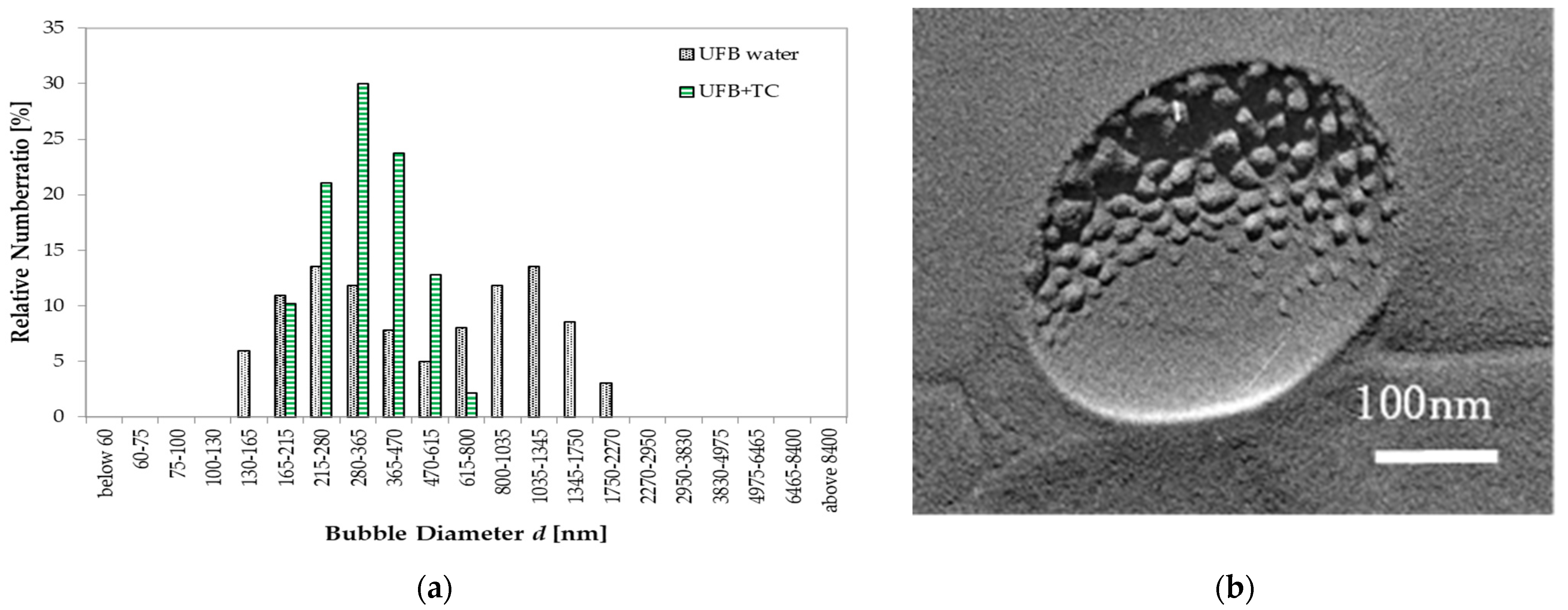 Nanomaterials 13 00205 g010