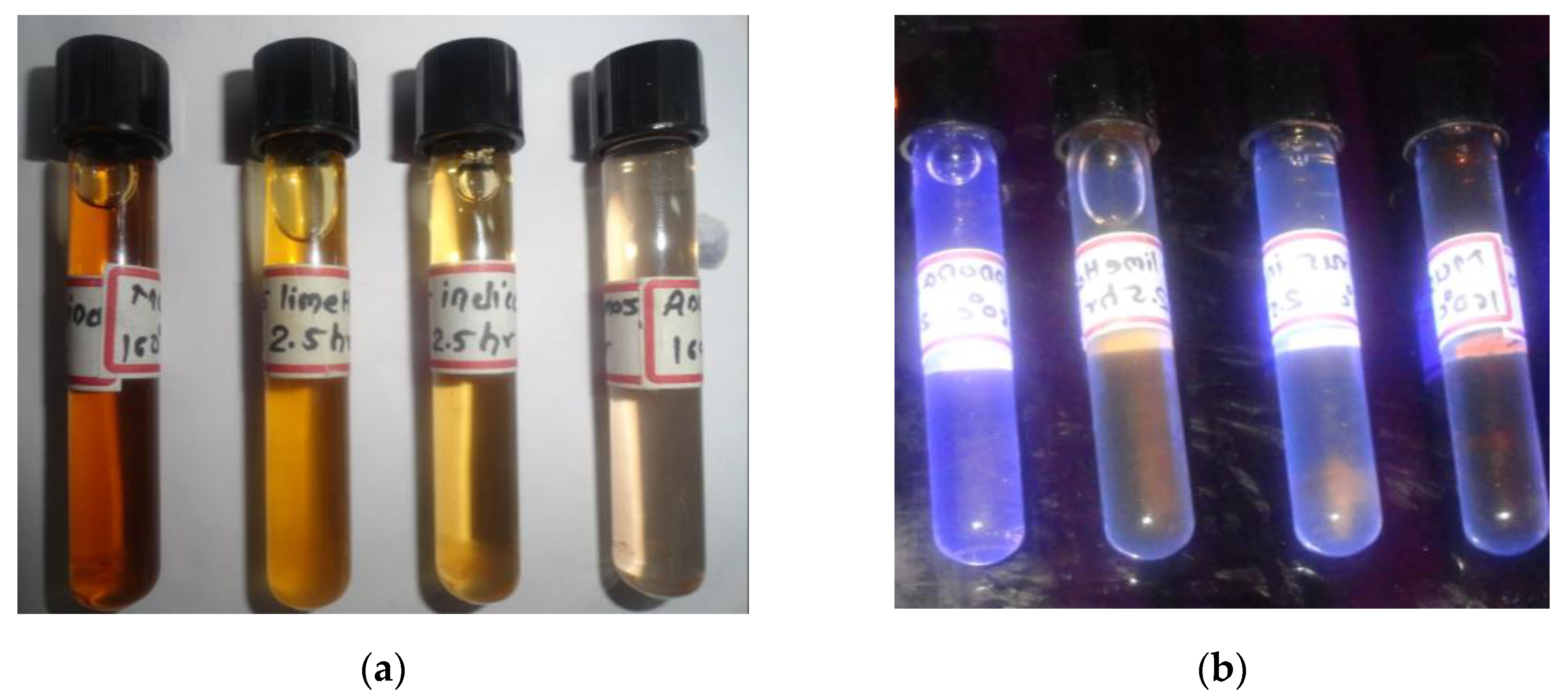 Nanomaterials 13 00209 g001