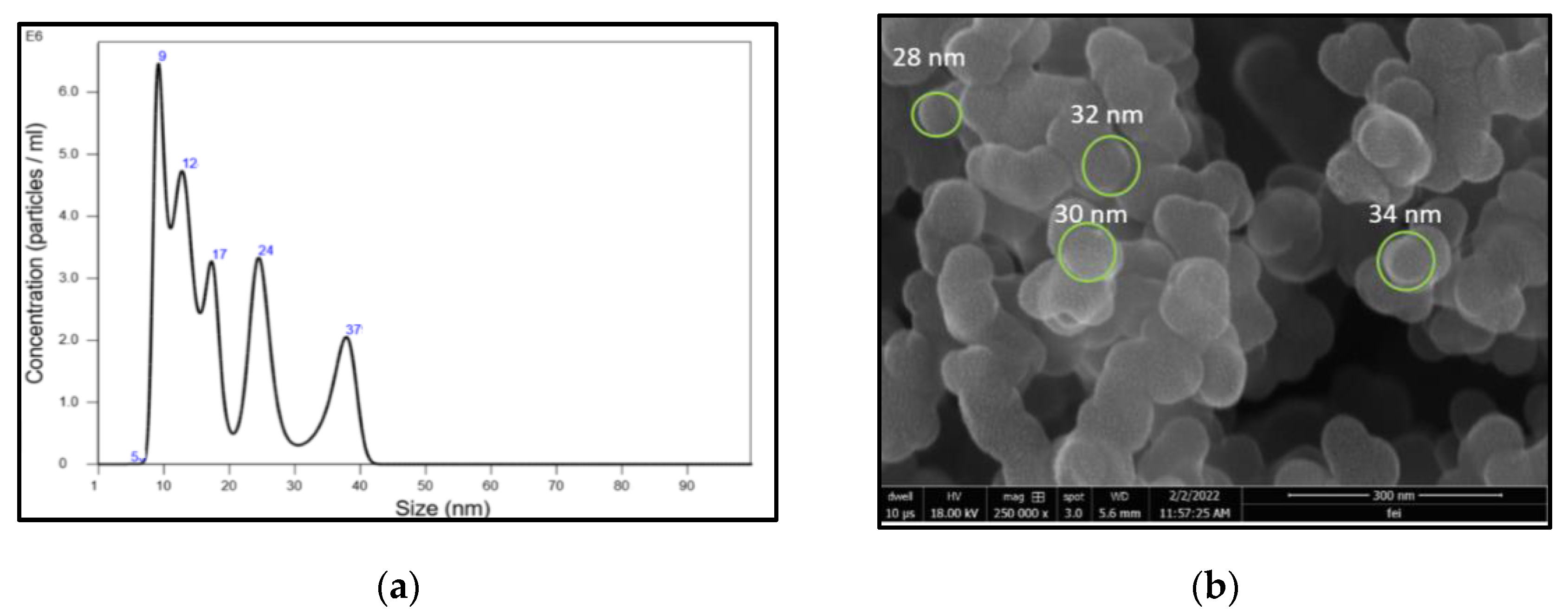 Nanomaterials 13 00209 g003