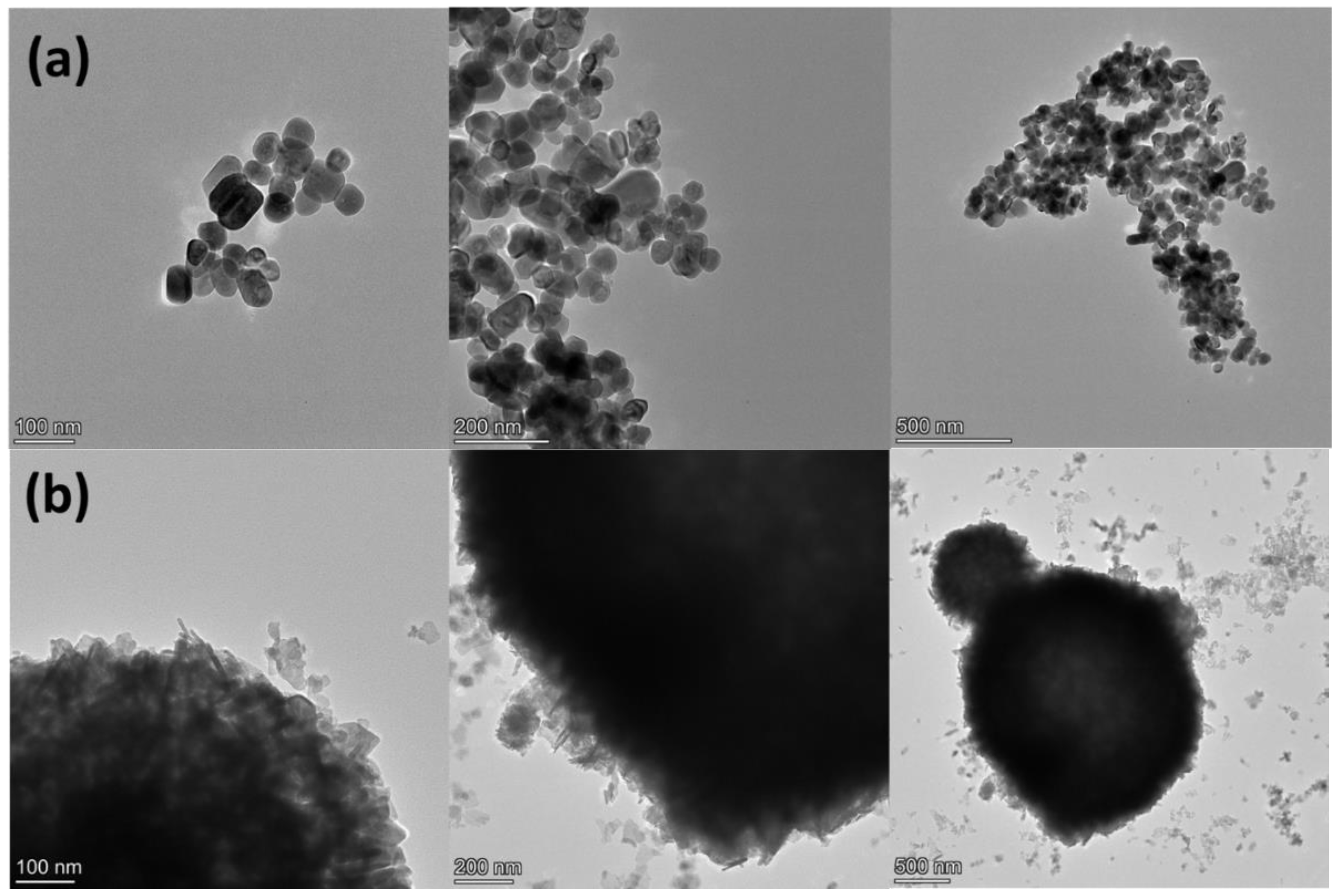 Nanomaterials 13 00214 g004a