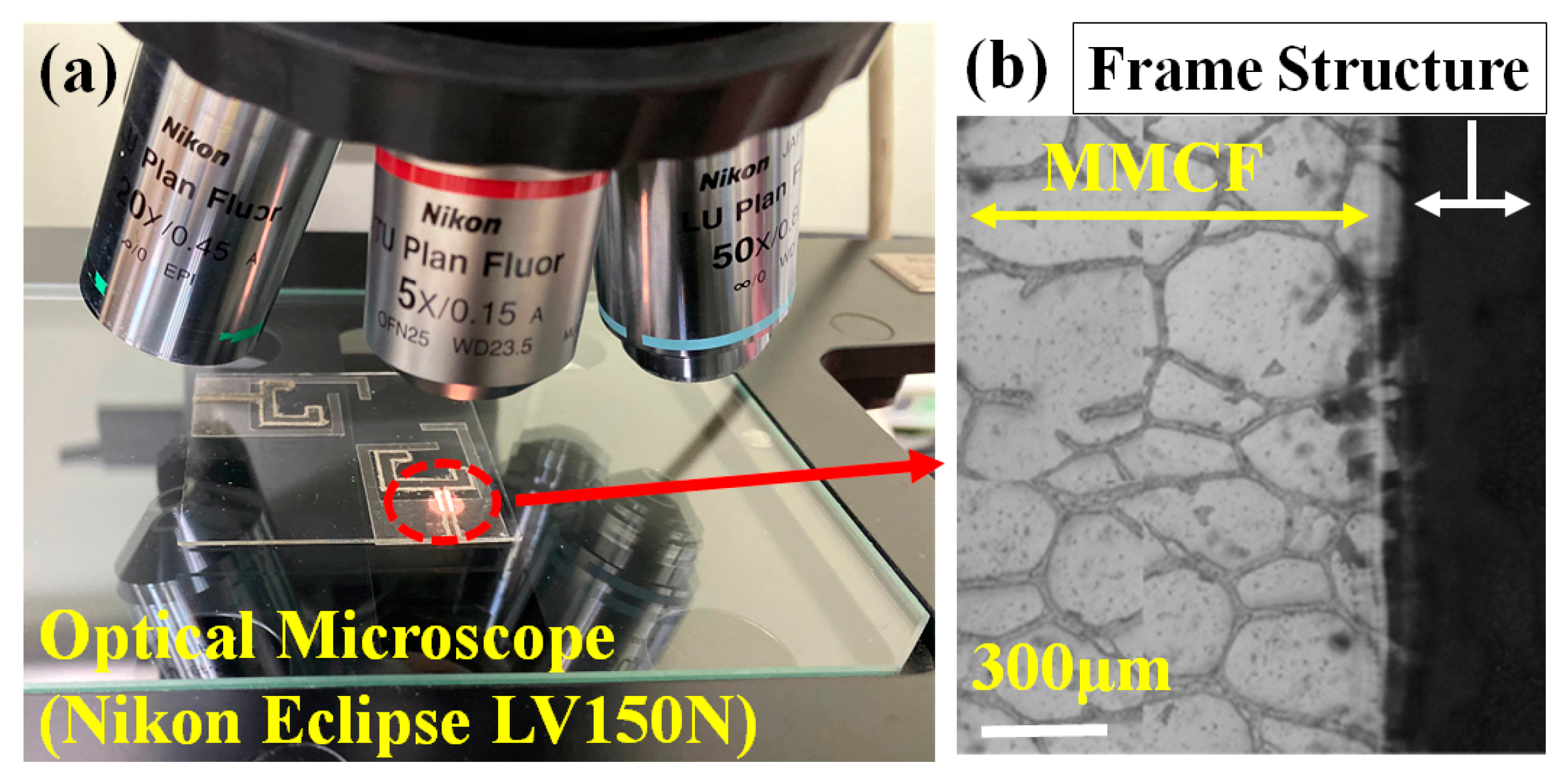 Nanomaterials 13 00221 g002