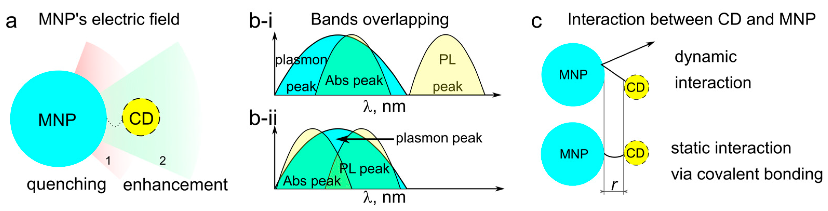 Nanomaterials 13 00223 g001
