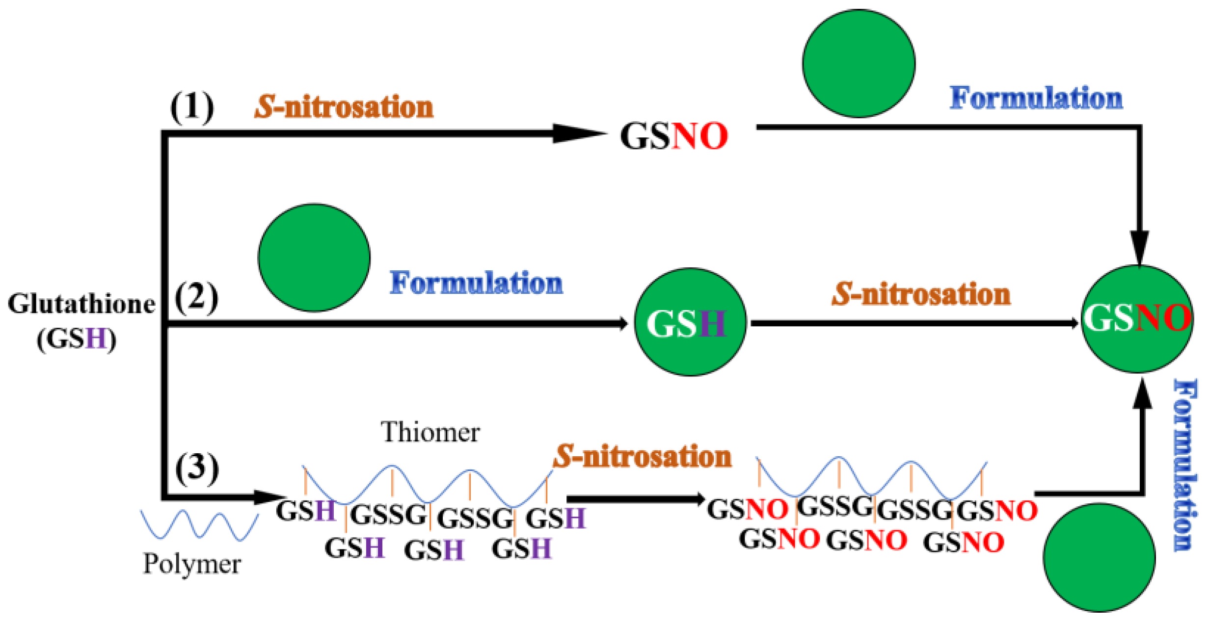 Nanomaterials 13 00224 g001