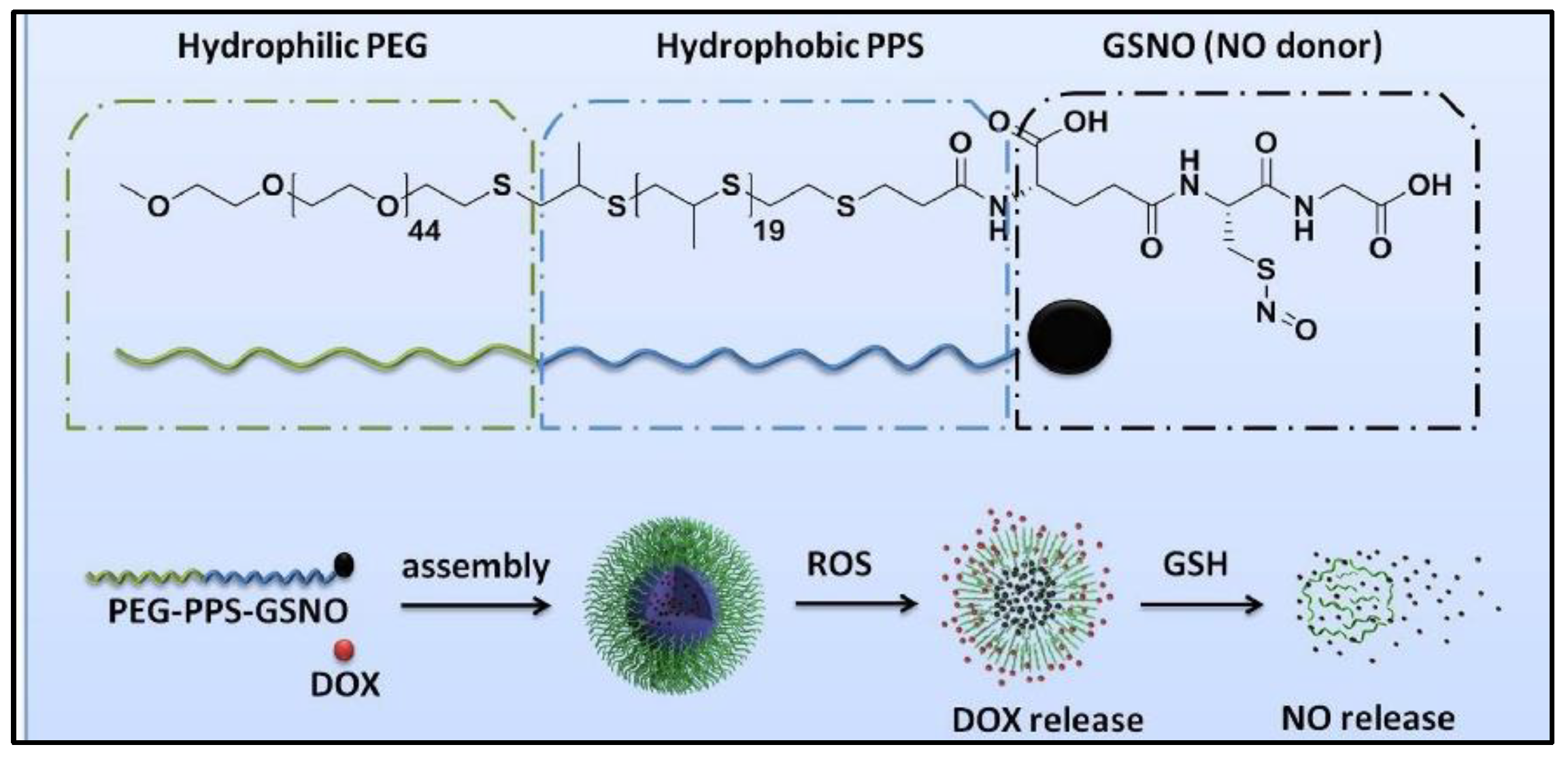 Nanomaterials 13 00224 g010
