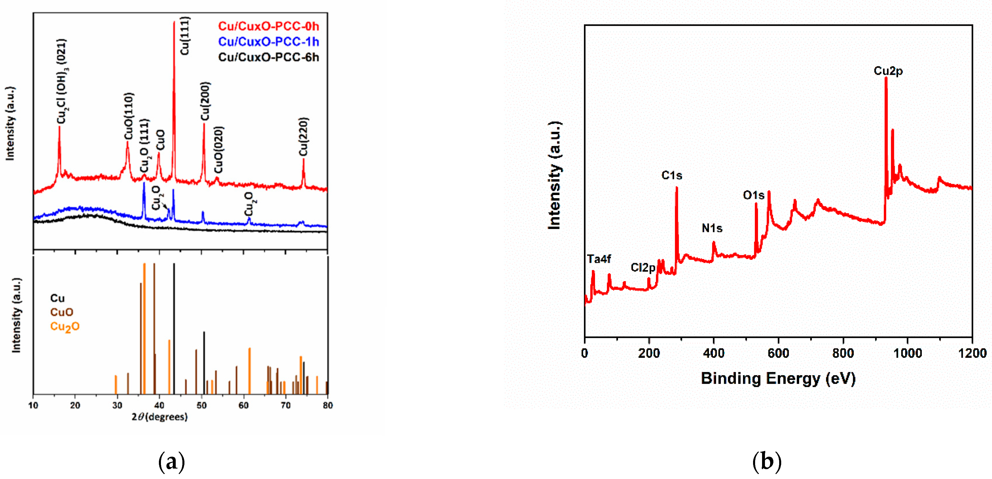 Nanomaterials 13 00230 g003a