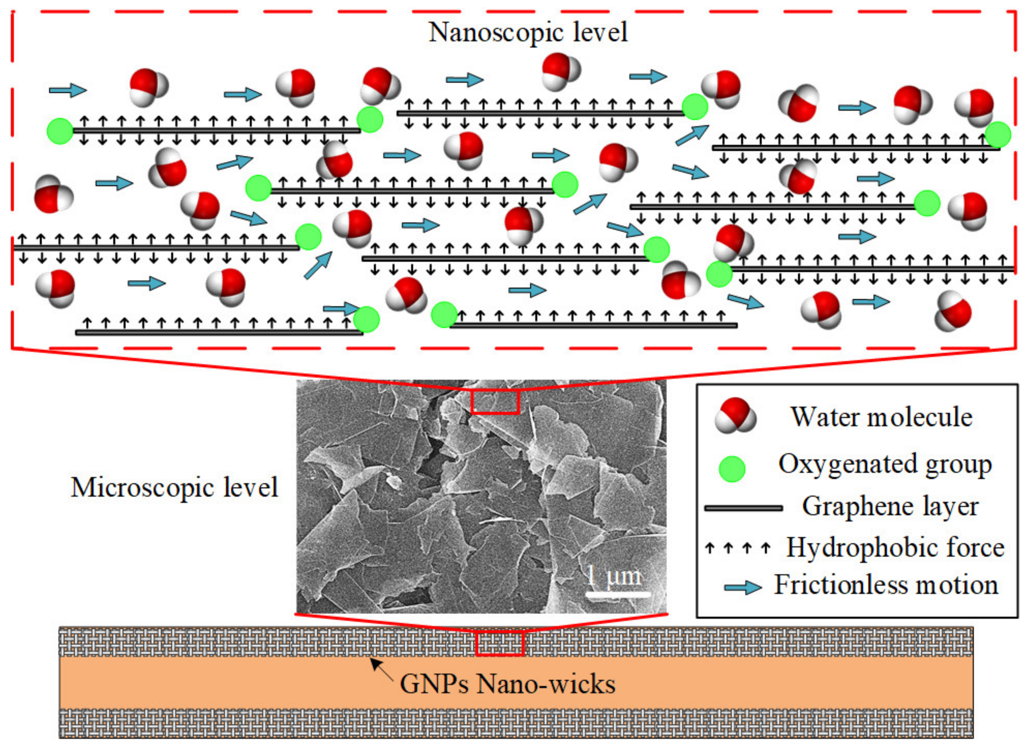 Nanomaterials 13 00232 g007