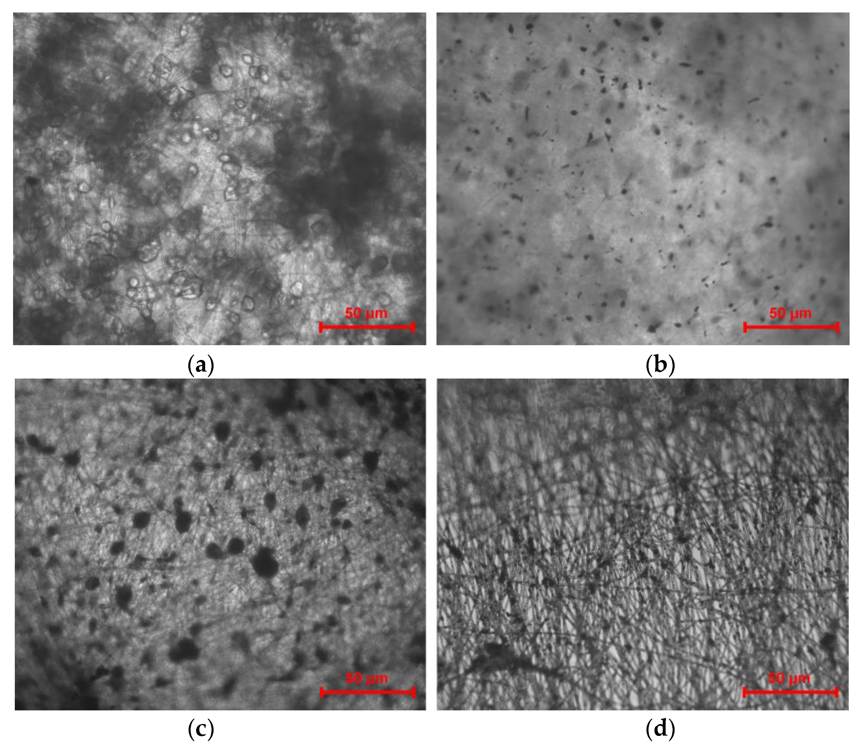 Nanomaterials 13 00236 g008