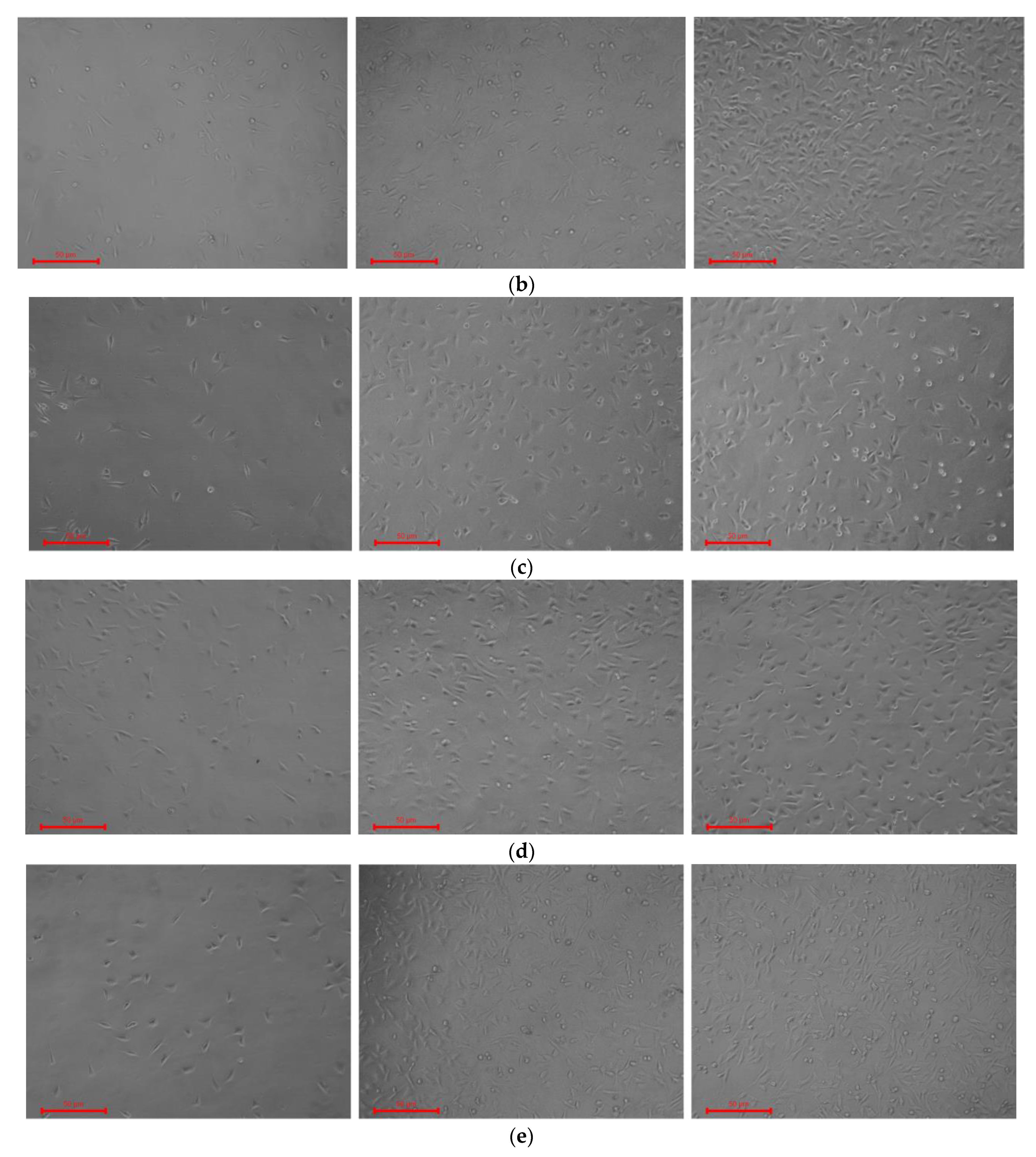 Nanomaterials 13 00236 g009b