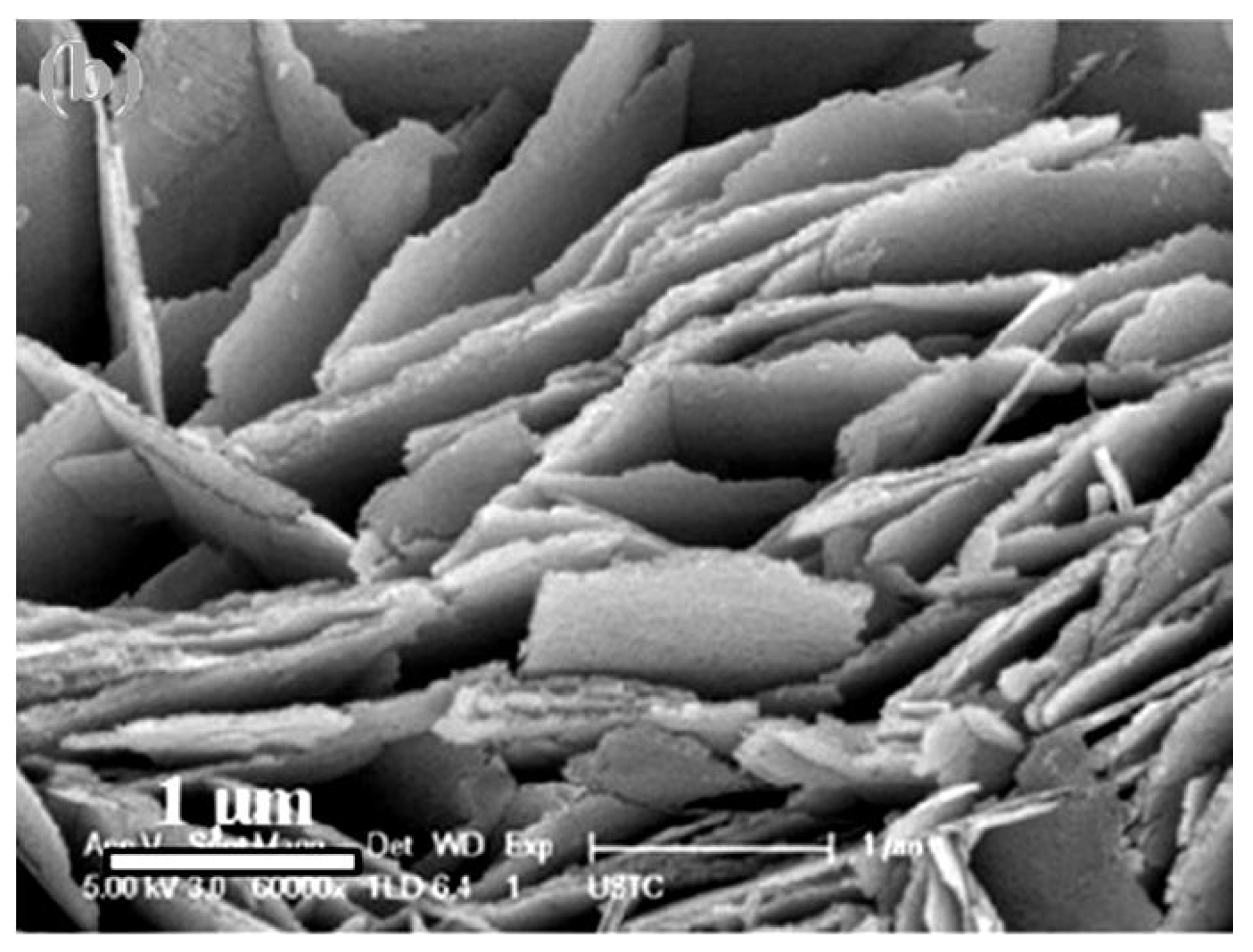 Nanomaterials 13 00237 g001