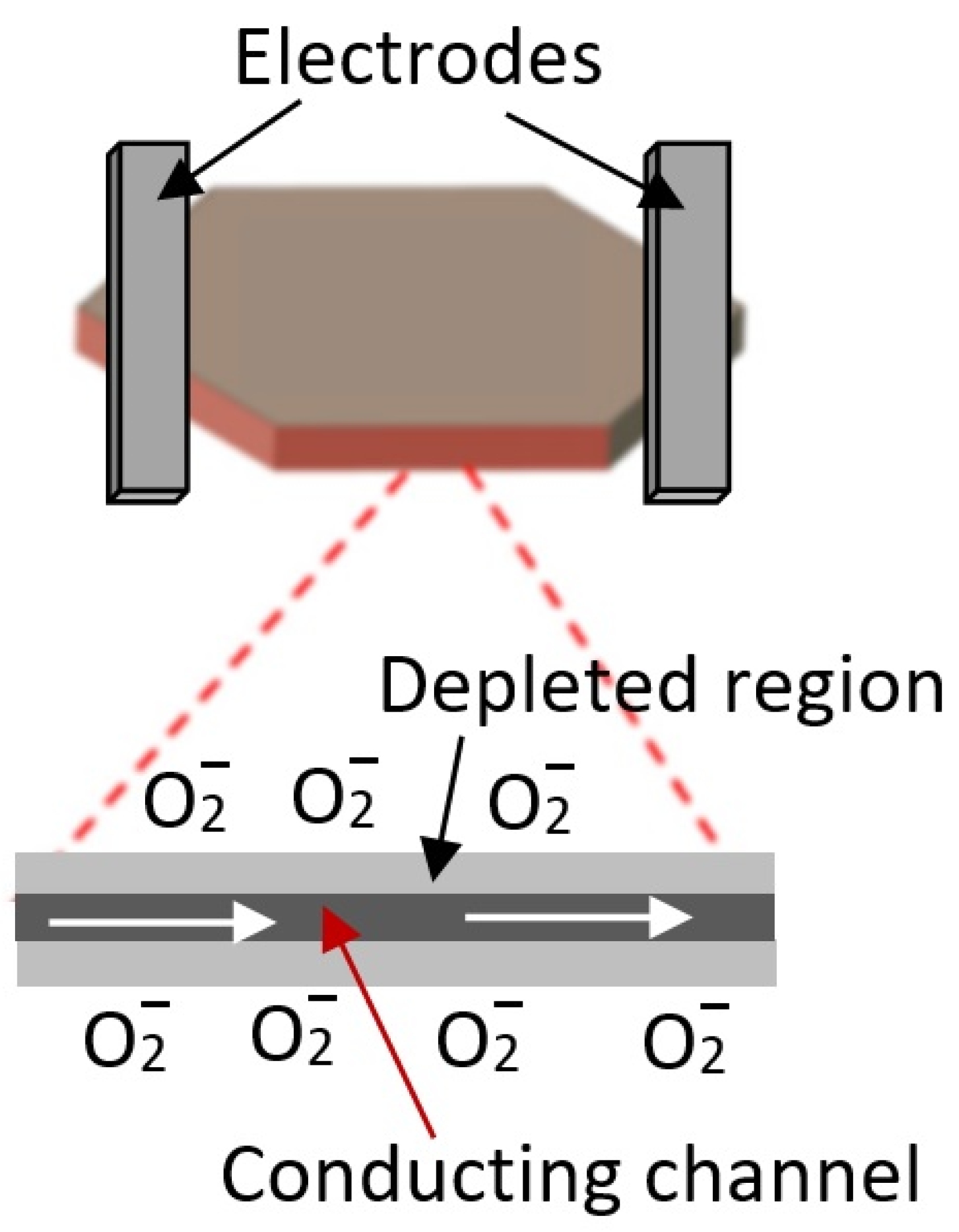 Nanomaterials 13 00237 g003