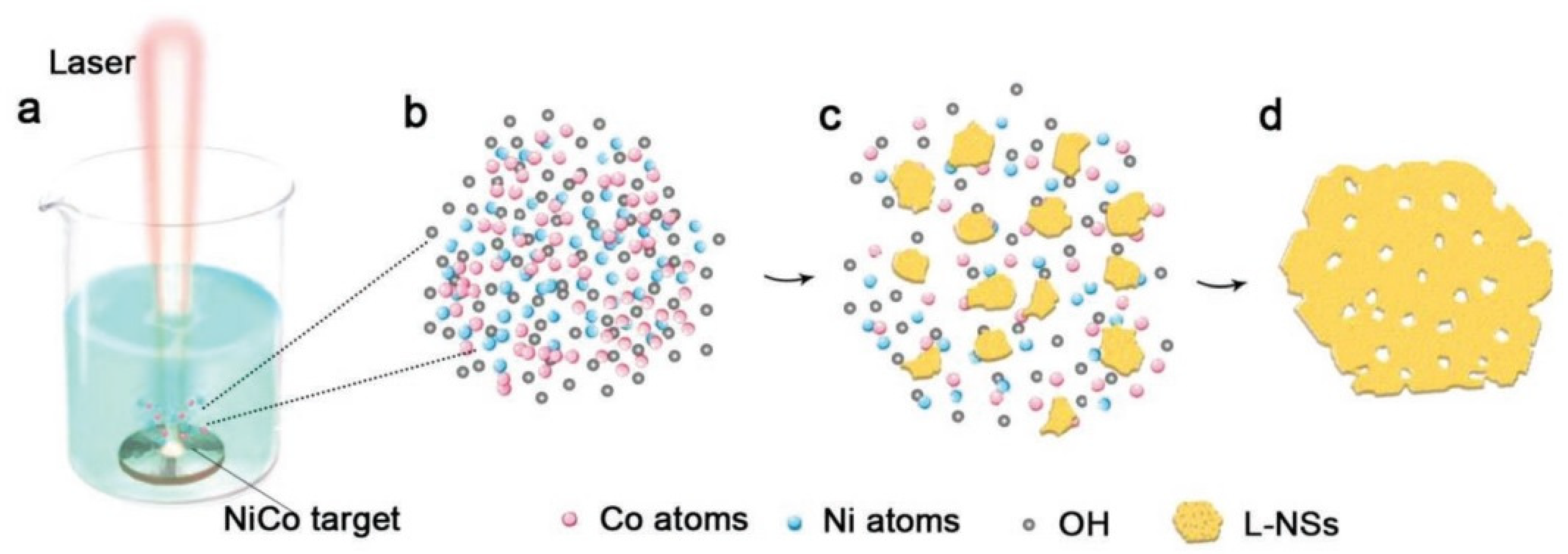 Nanomaterials 13 00237 g010