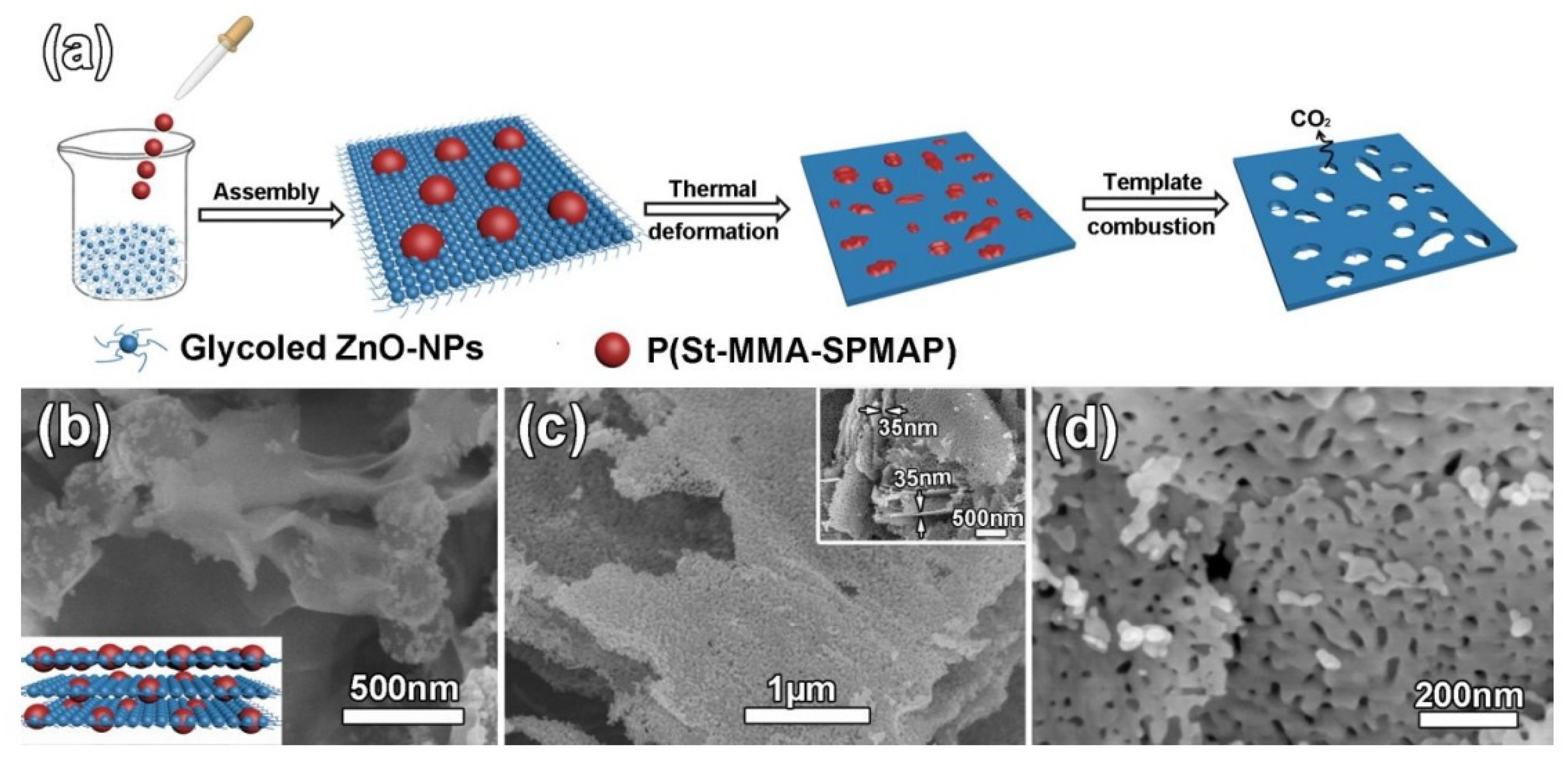 Nanomaterials 13 00237 g012