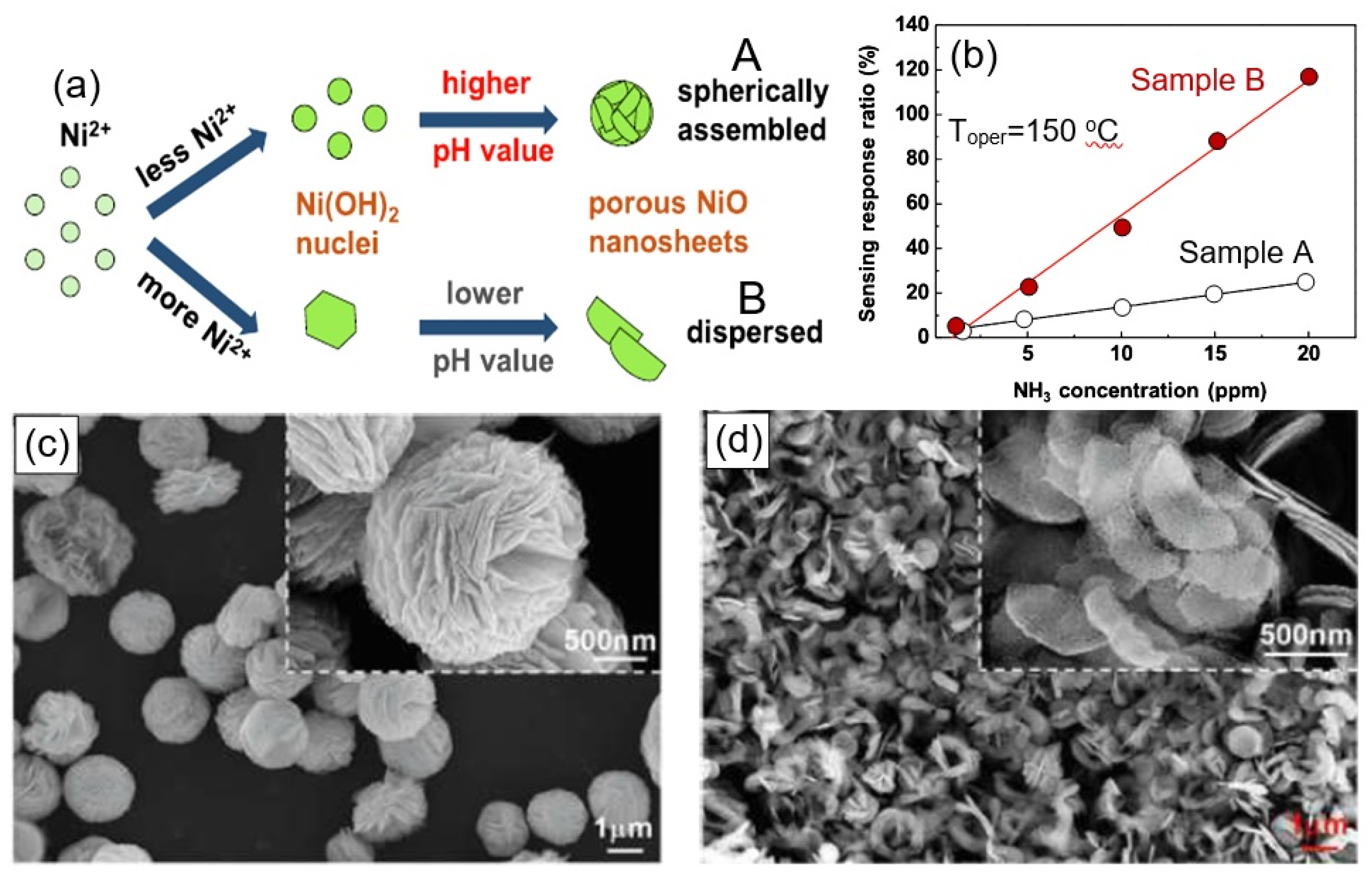 Nanomaterials 13 00237 g021