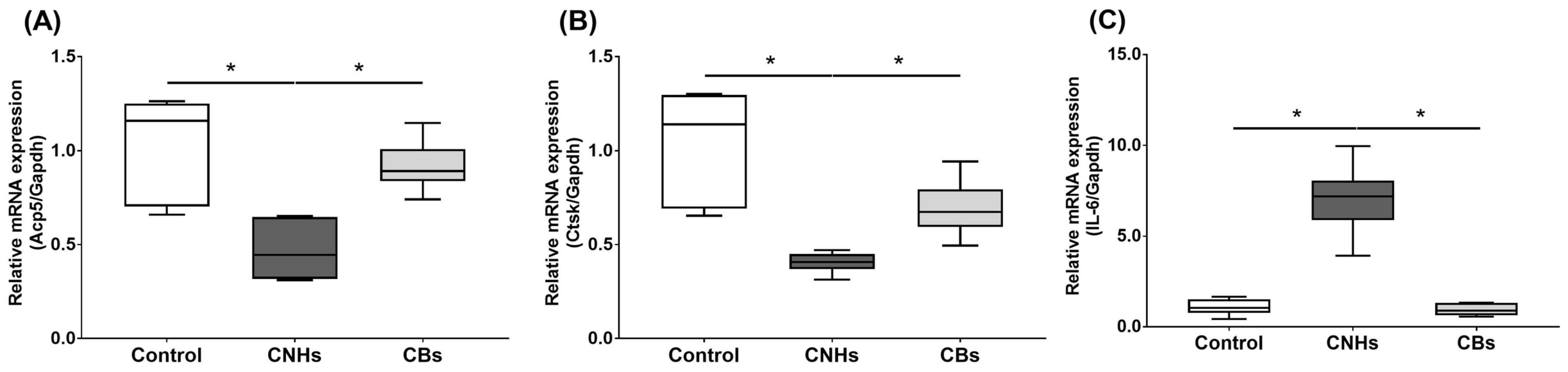 Nanomaterials 13 00244 g005