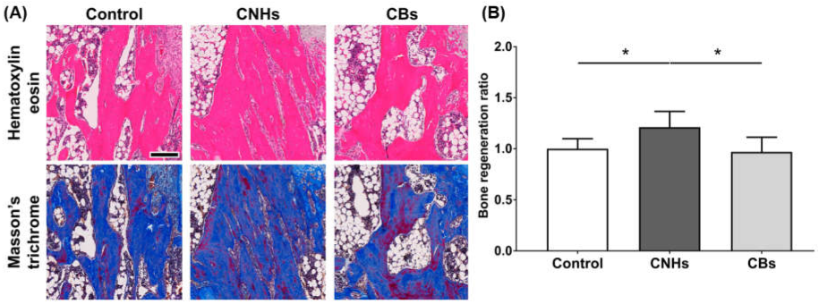 Nanomaterials 13 00244 g009