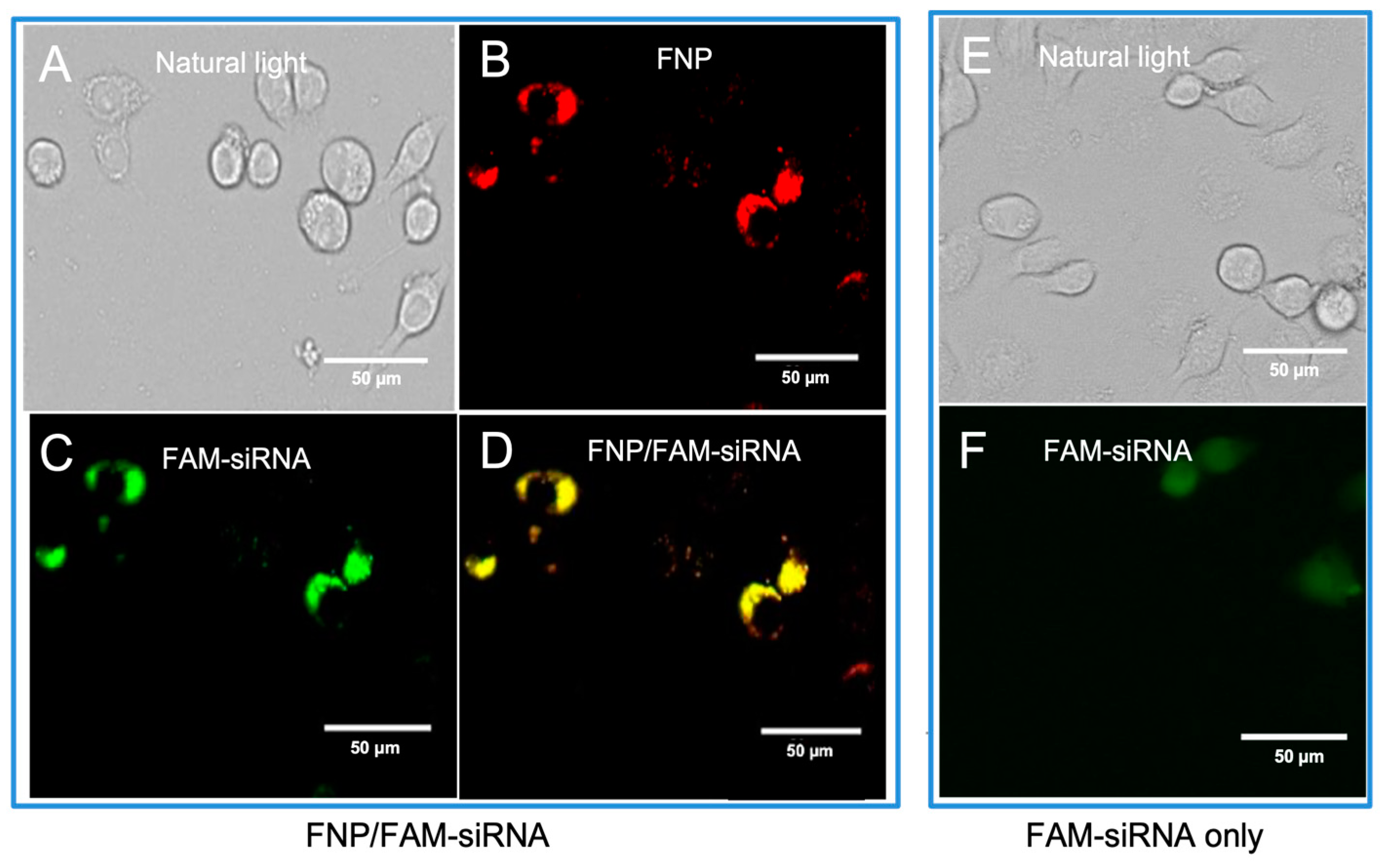 Nanomaterials 13 00245 g001 Nanomaterials 13 00245 g001