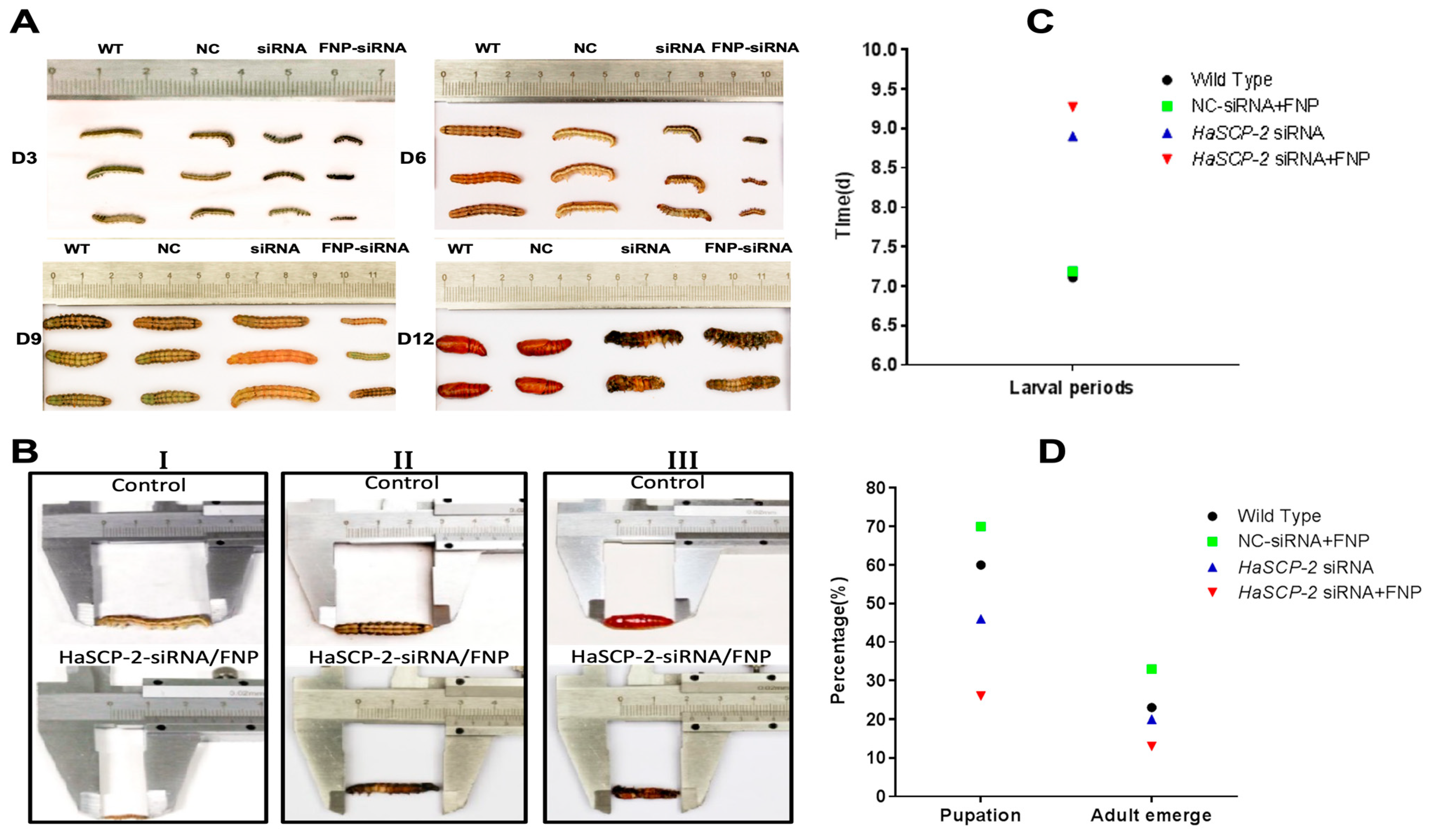 Nanomaterials 13 00245 g008 Nanomaterials 13 00245 g008