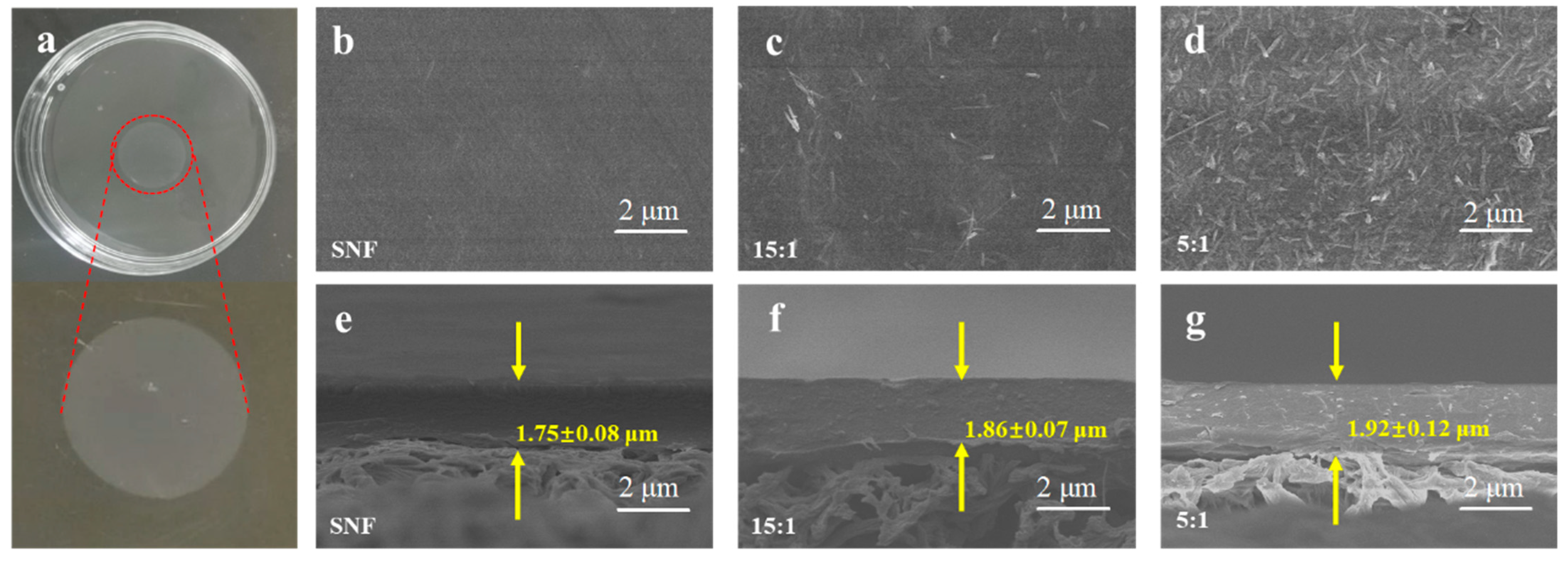 Nanomaterials 13 00247 g004 Nanomaterials 13 00247 g004