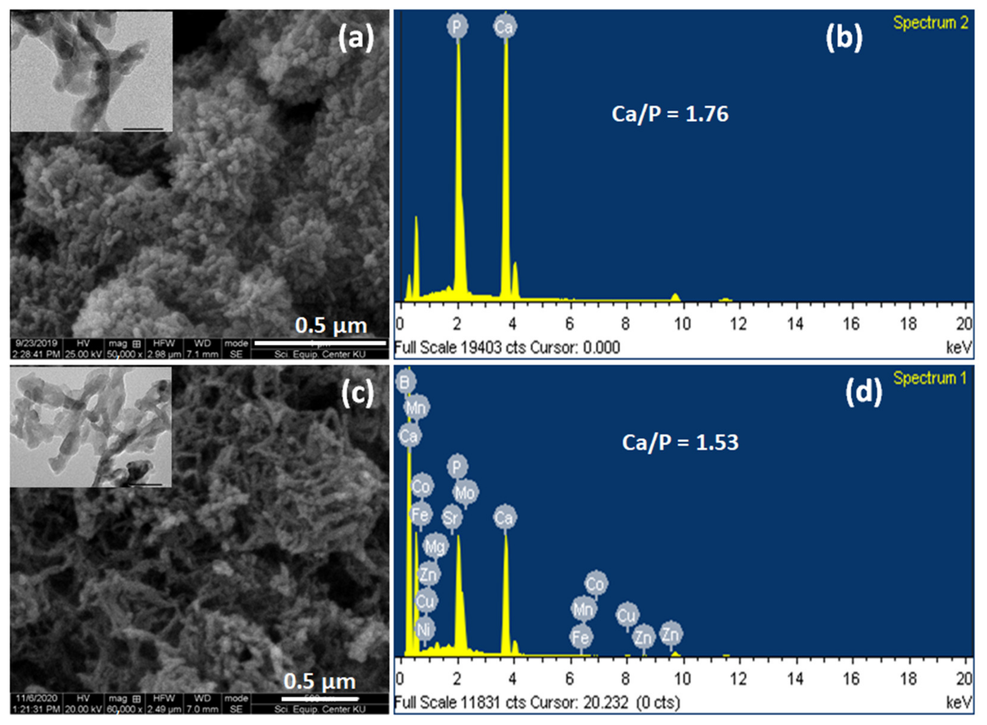 Nanomaterials 13 00255 g005