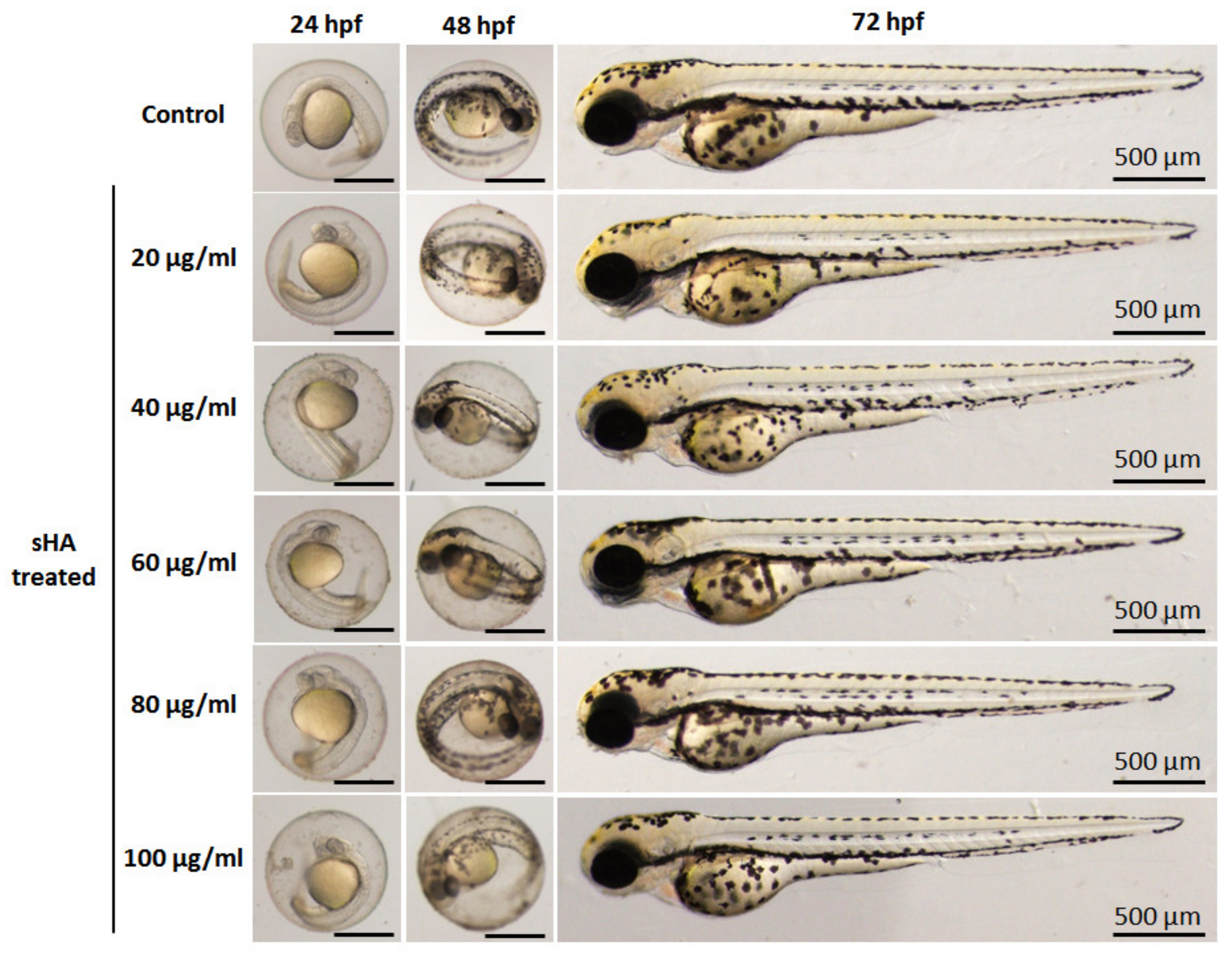 Nanomaterials 13 00255 g011