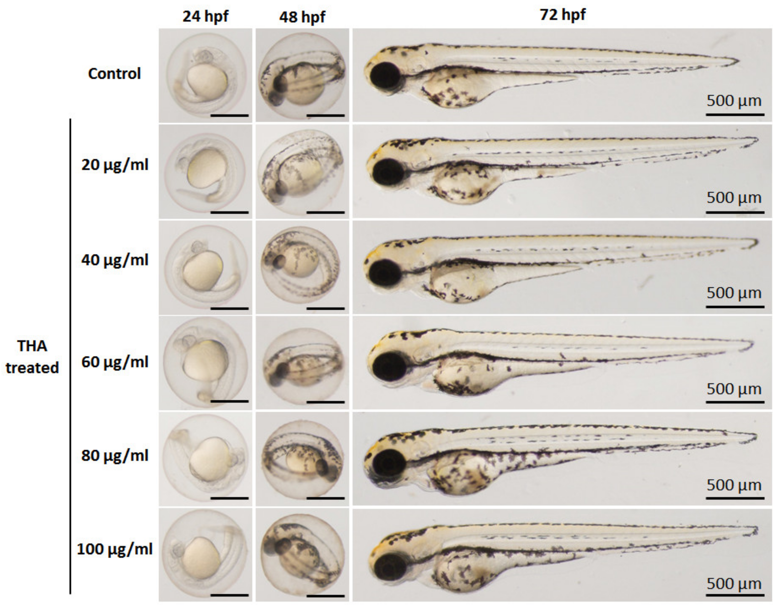 Nanomaterials 13 00255 g012