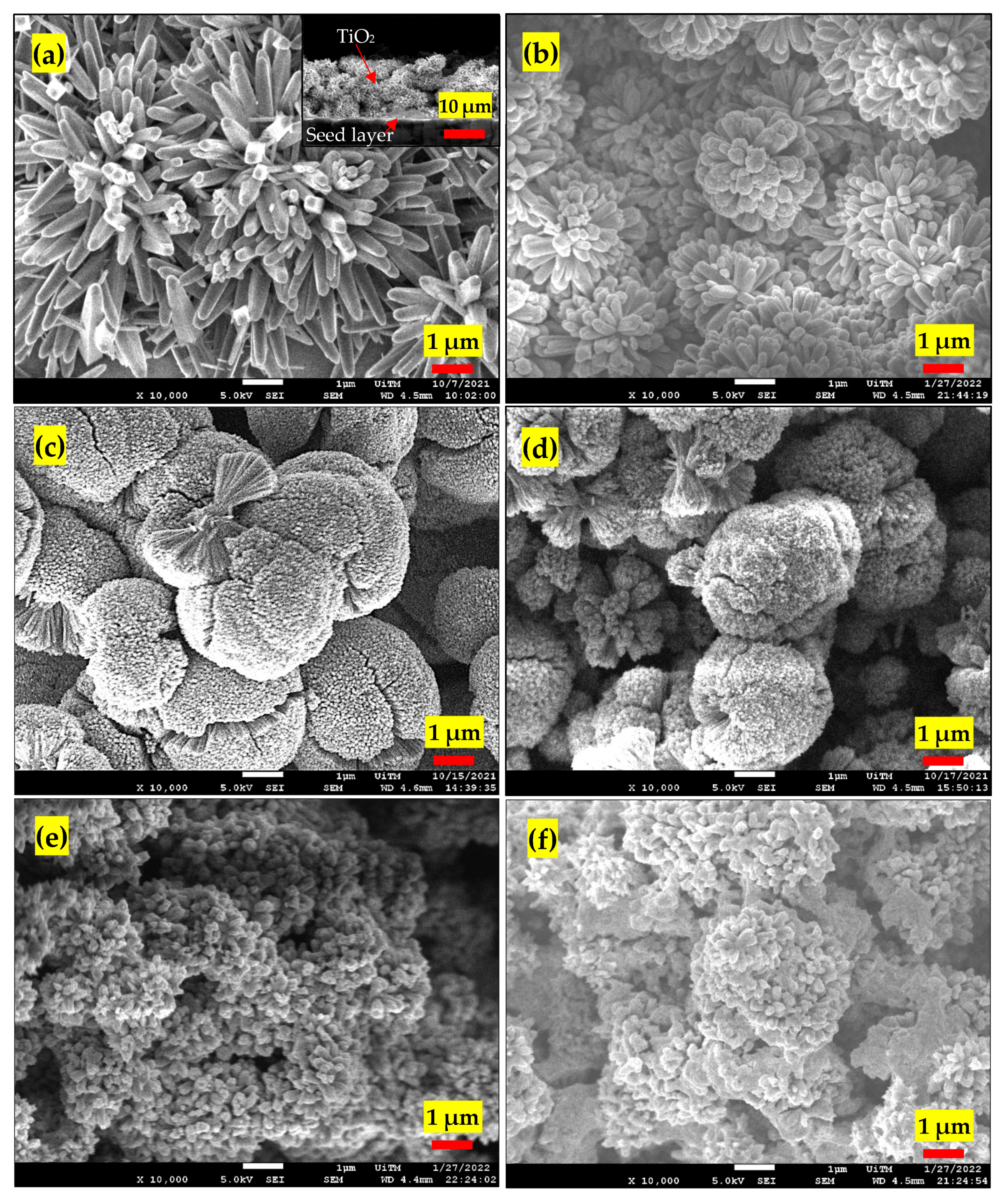 Nanomaterials 13 00256 g001 Nanomaterials 13 00256 g001