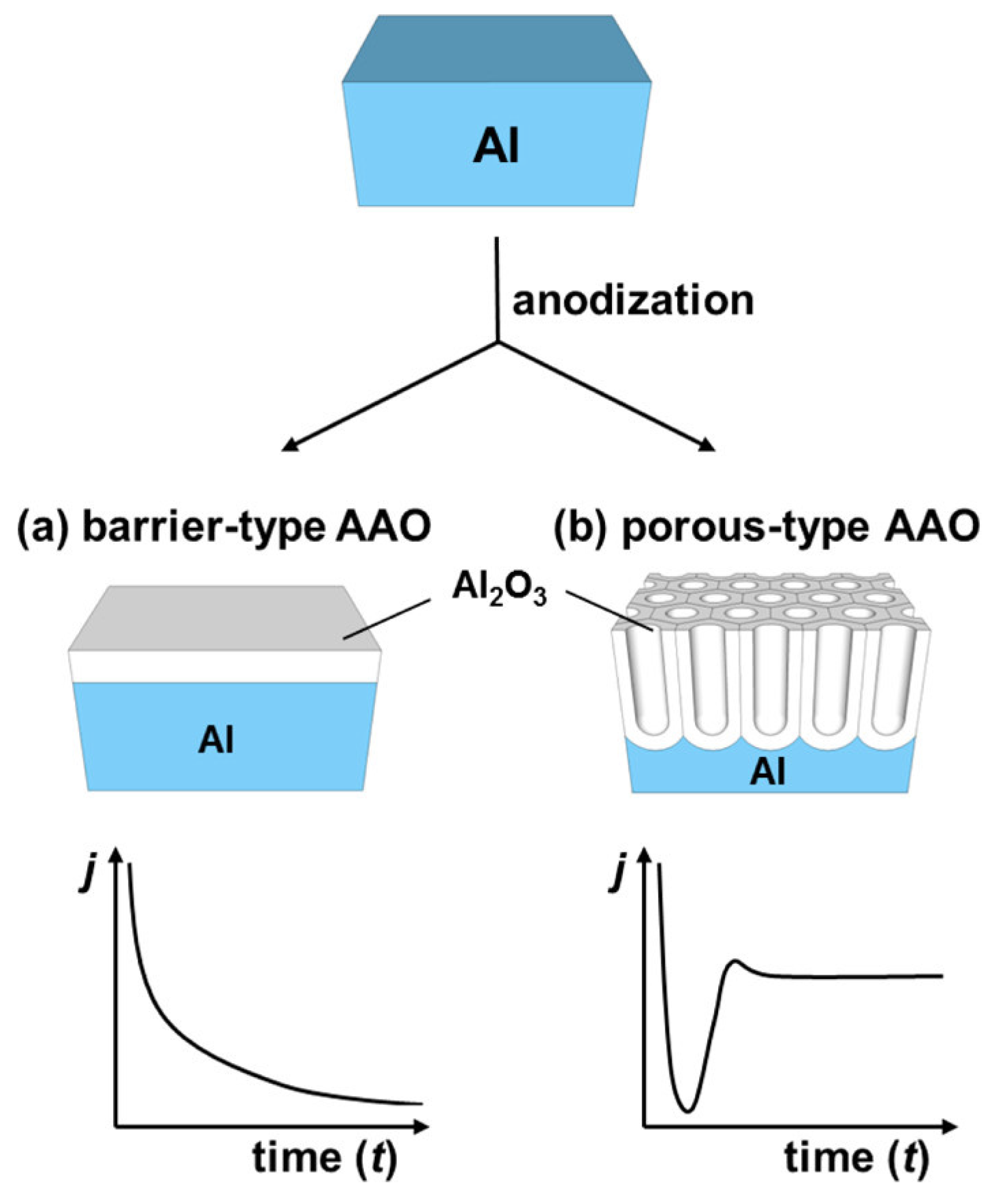 Nanomaterials 13 00260 g003