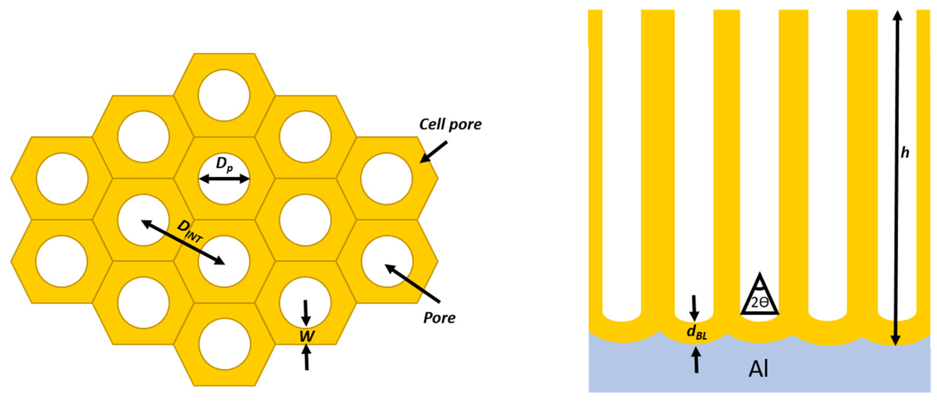 Nanomaterials 13 00260 g005