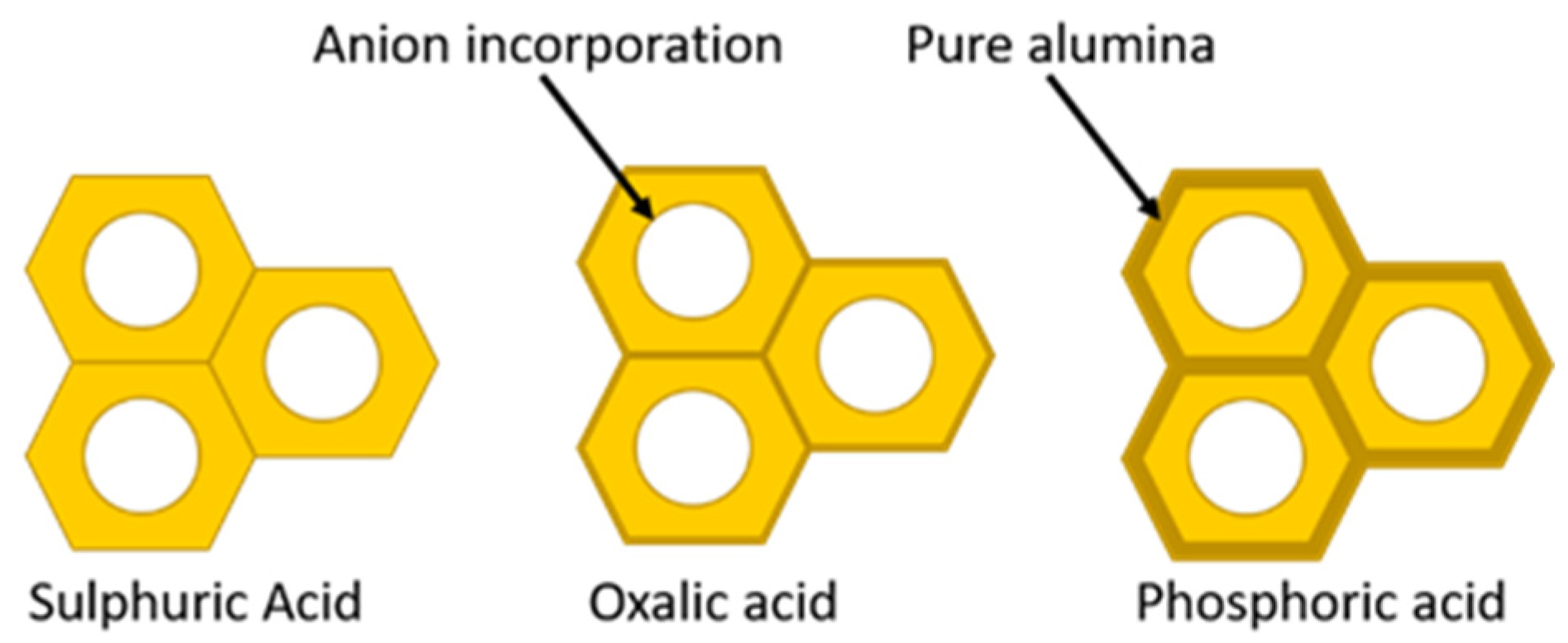 Nanomaterials 13 00260 g006